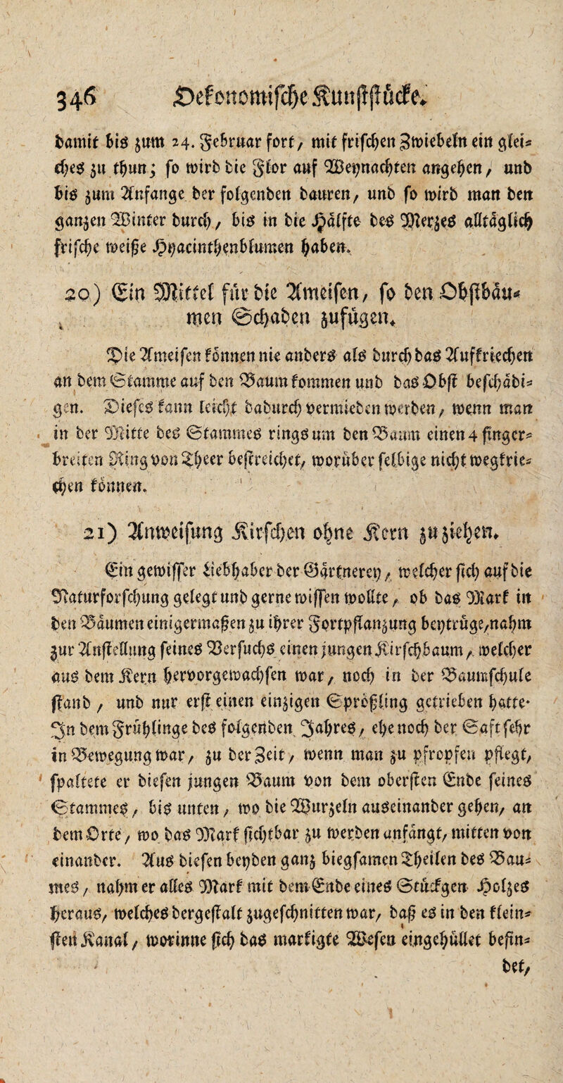 bamit bis j«m 24. S^ruar fort, mit frifdjengmiebefn ein gfeU eßes 5« tbun; fo toirb bie gfor auf QiBepnacbten angebm, unb bis ^um Anfänge ber folgenben bauten, unb fo toirb man beit ganzen Q33infer burd), bis in bte J^dlfte bes SfterseS aötdglidj ftifcbc meiße Spyacintfytnbhimm babem 20) (Sin Mittel für bie ^meifen, fo ben.Obp&au* men ©djabcn sufugen* Xue 2fmeifen Hnntn nie anbers als burd) bas 21uffried)ett an bem ©tarame auf ben 35aumfornmen unb bas Obf? befdjdbk gen. 2>iefesfann leicht b«burd)permiebenmerben, wenn man in ber ®itte bes ©tarames ringsum ben Q5aum einen4pngcr= breiten fKmgPonSbeer bef?reid)ct, worüber felbige nid)t wegfries d?en fonnen. 21) 3(imeifung ivirfcf>,en o|ne jtern jttjkljm* ©in gewtffer Liebhaber ber ©artnem;, treuer ßd) auf bie ^aturforfd)ung gelegt unb gerne wiffen wollte , ob bas 93iarf in ben Q5dumen einigermaßen^ ihrer gortpßan^ung beptruge/naßm jur 21nfMlung feines ^erfud)S einen jungen $irfd)baum A ioeld)er aus bem$ern beroorgewadjfen mar, noeb in ber ^aumfcbule ffanb / unb nur erß einen einzigen ©preßfing getrieben batte- 3« bem grüble beO folgenben 3abres, ebenoeb ber ©aftfdjr in Bewegung war, $u ber Seit/ wenn man ju pfropfen pflegt/ fpaltete er biefen jungen Q5aum von bem oberjten ©nbe feines (gtammes , bis unten , wo bie Qä£ur$eln auseinanber gebe«/ ait bem Orte / mp bas 93Iarf fidjtbar yn werben unfdngt, mitten oon einanber. 2Cus biefen bepben gan$ biegfamen ^b^ikn beS 95att* mes / nal>m er alles 9)tart mit bem ©nbe eines ©tuefgcit jpof^es f)erauS/ welches bergeßalt $ugefcbmttenwar, baß es in ben flein* (fett J\anal/ wimmteficb bas marfigte 2$efeu eingcbüllet beftn* i« bet/