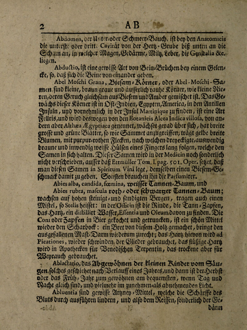 Abdomen, OCV UiltenoDer ©cbmccr#5)aucb> ift bCl> bctl Anatomicis Die unterjtc ober Drifte Cavitdt bon bet $erb'@rube biß unten an Die ©dnman, in welcher Klagen,©eDärme, CÖ?ii^, Sebep, DieG^nitalia &c. liefen* ■ Abdu£tio,ifl cinegctbtjfe 2ltt bon S8ein#35rüchen bei) einem ©eien# de, fo, Daß jui) Die Q3eine bon einanDer geben. Abel Mofchi Grana, «ötefrtltt #&OW€C, ober Abel-Mofchi-Qrt# fiten finD Fleine, braun graue unD Üujferltcb raube Jvorncr, tbie Heine Slie# ren,Deren ©erueb gleicbfam aug^öiefem unDSlmber gemifebet iß. S ag@e# tbdd)b Diefer Äörner iß in Dß#3ffibien, (SgpptemSlmerica, in Den Antillen Snfuln, unD bornebnilief) in Der 3nful Martinique juftnöert, ift eine Sirt gcUrtg,unb wirb Deswegen bon Den Botanicis Alcea Indica villofa, bon an# Dem aber Alth*a iEgyptiaca genennet, roäcbfef geraD über fich , bat breite greife unD grüne glätter, fo mie ©arnrnet anjugrei jfen; tragt gelbe breite S3lumen, mifpurpunrotben gleden, nach weicbenDrepeif igte/aubmenDig braune unD intbenDtg wet jfe hülfen eineg gingerg lang folgen, welche Den ©amen in ficb halfen. Siefer©amen ibirD in Der Medidn noch fonDerlich nicht bcrfchrieben, außer baß Ettmüller Tom. I. pag. yoi. Oper. fe^et, Daß man Diefit tarnen in Spiritum vini (ege, Demfeibeneinen 3Mefems@c# fdbmacf Damit jugeben. @on(ien brauchen ihn Dk Parfumirer. Abies alba, candida, foemina, iretjfcl' <Eartlten=.23aUttt, unD Abies rubra, mafeula reif) # ober fcbiDarejer (Eamien#23auin; tbachfen auf hoben ßeinigt#unb fanDigten bergen, tragen aud) einen SSftißel, foStelis beißet: inDerOificinifiDieStinDe, bie<£ann#3apfen, Dag iparfj. ein diiHllivt 28a(fer,EiTentia unD Oleum Dabon ju ßnben. Sie Com oDerSapfeit in 33ier gcfochet unD getrunden, ift ein ßhön Mittel ibieDer Den ©ebarbod: ein SSret bon Diefem #olh gemachet, bringt Den ciuggefaUenen 2)?a(i-Sarni wieberum jurccbt; Dag fCKirb biebon wirb ad Pieationes, wieber fcbwinDcn. Der ©lieber gebrauchet, Dagjiüßige J^ar^ tbirD in Sfpotbetfen für SßenePifcben Serpentin, Dag trodene aber für Sßepraucb gebrauchet. . Ablaclatio, Dag 2tbger»ohtten bet blctrtcn Kirtbec »oitt 0«n# geitfoltbcg gefebiebet nacb^Öerlauff eineö 3abreg,unD Dann iß Dct\£)erbß ober Dag Srü(>#3abr jum gewöhnen am bcquetnßen, wenn ^ag unD Tracht gleich finb/ unD biehnebr im junebmemalg abnebmenDen Sicht. Abluentia finb gewtfle 2lrfjnn> Mittel, wcld>e Die ©cbßrffe Deg 555lu(g Durch auafübren linoern, unD alfo Dem Steifen, foiiDerlich Der ©e# -oi di c ■ Dann