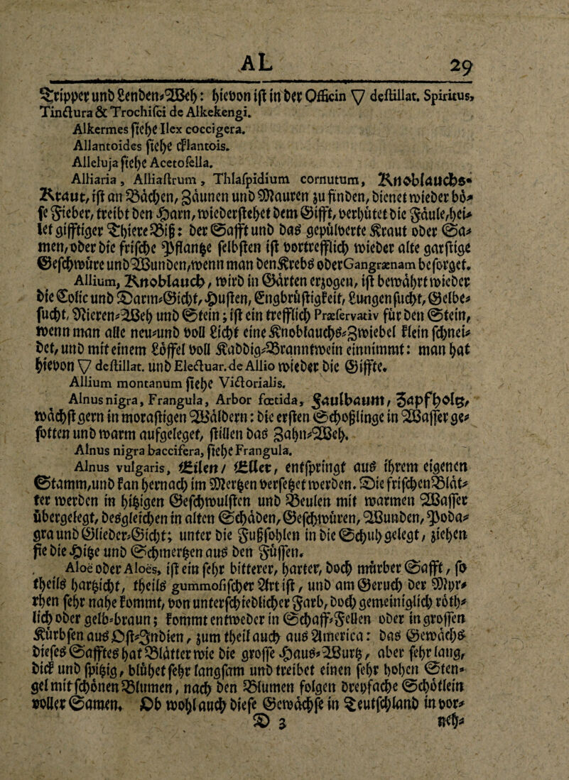 11 ■, .1 ■ 1 mi »in ■..ui ■ii.«*i 1 ■ i.i■ in. 1 1 . Tripper unb £enbem'2Beb: Aktion tjl l'tl ber Qfficin y deffillat. Spiritus, Tinflura & Trochifci de Alkekengi* Alkermes fiel)? Ilex coccigcra. Allantoides fict)C (flantois. Alleluja ftel)C Acetoklia, Alliaria, Alliaftrum, Thlafpidrum cornuttim, Kft^bldttcbs* Kraut, ift an Säcken, gäunen unt> Mauren ju finDen, bienet toieber bö* fe lieber, treibt ben spant, n>icberflcl>ct bem ©ift, verhütet bie Säule,bei* let giftiger <^rt>iere 33i§: ber ©aft unb bas gepulverte Äraut ober ©a« men, ober bie frifebe ^flan^e felbften ifl vortrefflich tvteber alte garftige ©efebtoüre unbSEBunbemtvenn man ben^cebs oberGangraenam beforget. Allium, Knoblauch, toirb in ©arten erjogen, i|tbemdbrf toieber bie ©olic unb ® arm,@icbf, pufien, ©ngbröfiigfeit, jungen fuebt, ©elbe« fuebt, 9iicren-2ßeb unb ©fein; ifl ein trefflich Prafervativ für ben ©fein, wenn man alle neuntnb ooB £tcbf eine £noblaucbS.<gtviebel Flein febnei« bet, unb mit einem Soffel OoB j?abbig*23rgnnftvein einnimmt: man bat bievon y deffiliat. unb Elecluar.de Allio toieber bie ©iffte, Allium montanUm fietje Viclorialis. Ainus nigra, Frangula, Arbor feetida, ^aulbatltlt, 3dpfb>Olt;, tvdcbjlgern in morafitgen Kälbern: bie erflen ©cbofjlinge in SEBaffer ge« fbttenunbtoarmaufgeleget, füllen bas gabn«2ßeb. Ainus nigra baccifera, ftebe Frangula. Ainus vulgaris, (teilen/ tSUer, enffprtngf aus t'brem eigenen ©tamm,unb Fan bernacb im gerben verfemet werben. Süse frifcbenSöldt« fer toerben in beigen ©efcbtoulflen unb iöeulen mit marinen ^ffiafec fibergelegt, begleichen tn alten ©ebdben,@efcbtvüren, Slöunben, ^oba« graunb@lieber,©icbt; unter bie gu&foblen in bie©cbul>gelegt, jiet>ett fte bie #ibe unb ©cbmerhen aus ben §üfen, Aloe ober Aloes, ifl ein fe()r bitterer, harter, boeb mürber ©aff, fo tf)cils harscht, tbcils gummofifeber 2lrt ifl, unb am ©erueb ber SOlpr# rben febr nabe Fommf, von unterfcbteblicber garb, boeb gemeiniglich röfb« lieb ober gelb-braun; Fommt enttoeber in ©ebaff SeBen ober in groffen ^ürbfen aus £>jl«3nbien, jumtbeif auch auSSlmerica: bas ©etodeb# biefes ©afftes bat SBldftertoie bie groffe .pauS»2Burh, aber febrlattg, bicF unb fpi^tg, blühet febr fangfam unb treibet einen febr hoben ©ten* gei mitfebönen Blumen, nach ben turnen folgen brepfacbe ©cbötlein »oller ©amen, £>b tooblaucb biefe ©etodebf« in §eutfd;lanb in vor« S) 3 neb«