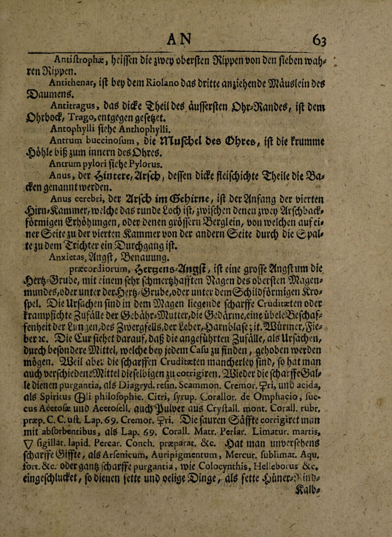 Andftroph«, Die jwepoberflen Rippen »on Den jtebenwahe ren Suppen. Antithenar, ifl bep Dem Riolano Das Dritte aniiehenDe 3)}äuöletn Des Säumend. Antitragus, Das Ditfc ^heilDes äujferflen £>hr4JianDeS, ijt Dem £>i)tbocf, Trago,entgegen gefegt. Antophyili [t ’l)C Anthophylli. Antrum buccinofum. Die tTTujcfeel Deo ©Ipteö, Ifl Die ftUttlttie ug)6t)fe bi§ jum innern Des£>bte$. . Antrum pylori ftebe Pylorus. Anus, Der Hintere, 2(rfdb, Dejfen Dicfe fletfc&ictyfe 3$ei(e Die iöa? dengenanntwerDen. r ' Anus cerebd. Der 2trfcfc> »nt (Sepimc, i(l Der Anfang Der Dierten «£)irn*$ammer,weld)c Dag runDe £ocb ifr, pifchen Denen jwep SJifcSybncf* förmigen Erhöhungen, oDer Denen grölfern SSerglein, ümnr»e!cl)cn auf et» ner@eite}uDeroierten Kammer»on Der anDem@eite Durd; Die ©pal* te ju Dem ^riebter ein Surcbgang ifl, Anxietas,5lngft, iöenauung. praecoriiorum, <3ergetis-2(itg{i, ifl eine grojfe 5fngfhtm Die «ger^iSrube, mit einem fehr ft>mcr|Dafften Stagen Des oberjten 95?agen* munDeS,ober unter bcr$erlj.'® rube,oDer unter Dem©cbtlDförmigen itro» fpel. SieUrfacbenftnDin Dcm9)?agcn ItegenDc fdyarffe Cruditseten oDer frampgebte Zufälle Der @ebähr*$0}uUer,Die ©eDärme.ctne tibcleiEtefcbaf* fentjeit Der Cungen,DeS gwergfellS.Der lieber,£>arnbiafe; if.5Btinncr.,§ie», ber jc. Sie Sur fielet Darauf, Da§ Die angeführten gufälle, als Urfacbm, Durch befonDere Mittel, welche bep jebent Cafu ju ftnDen, gehoben werben mögen. Slßeil aber Die fd)ar jfen Cruditseten mancberlep ftnD, fo hat man auch oerfebtebeneCÖliftel Diefelbigen ju corrigi wt,'2BieDcr Die fcbarjfcöal* le Dienen purgantia, als Diagryd. refin. Scammon. Cremor. Ejpri, utlD acida, (tlg Spiritus (J)-i pliilofophic. Citri, fyrup. Corallor, de Omphacio, fuc- cusAcetoßs unö Acetofell. aud)^)uloer aÜS Cryftall. mont. Coral). rubr, praep. C. C. uft. Lap. 69. Cremor. “fri. Sie fauren ©äffte eorrigiret man mtt abforbentibus, alS Lap. 69. Corall. Matr. Perlar. Limacur. martis, \y figillat. lapid. Percar. Conch. prapar.it. &e. JÖat Utan UtWet’fcbenS fcharffeiStffte, alS Arfenicum, Auripigmentum, Mcrcur. fublimat. Aqu, fort.&c. Obergatlhfcbarffepurgantia, wie Colocynthis, Hefeborus &c, eingcfcblucfet, foDienen fette unD oeiigeSinge, als fette ijünet^-tnö* ; , ; ' ■ ^allv