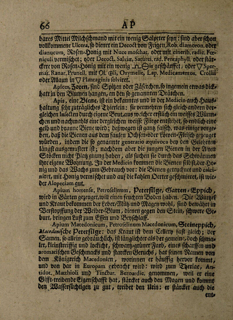 bares $MeigMcbfc&manb mit ein wenig ©alpeter fepn :ßnb aberftho» »ollfommene Ukera,fo bienet ein Decod oon §eigen,Rob. diamoron. ober dianucum, 9t0fen*£)0nig mit Nucemofchat. obetmit cinerib. radic. Foe- niculiüermife&Ct; Ober Decocl. Salvia:, Satürä. rid. Pcntaphyll. ober {tat* cfercoon 9tofen4)onig mit ein wenig _ru0is gefebärffet, ober VsPefr. maV. Ranar.PrurieU. ntit 01. ®ü> Oxymelle, Lap. Medicamentos. Crollii »bet Slllflun in V Pläntaginis folviret. Apices, Joren, fttiD @pi§en ober 3äferc&cn,fo ingemein etwas bid# hatt in ben Sßlunten hangen, an ben fo genannten ©catchen. Apis, eine 2Jieite, ifl ein befanntee unb in bet Mediän auch efpauS# Haltung fehrjutcäglicbes ^r^terlctn: fic oermehren fiel) gleich anbernber» gieren Infeflen bureb eigene 5ßrut,aus »efeber erfilid) ein wetfe62ßünn* <$en unb nacfymabis eine bergfetc&en weife fliege entfielet, fo enblieb eine gelb unb braune Söicne wirb; öejjwegcn tßganh faifefj, was einige »orge# ben, ba§ bte dienen aus bem faulen Dcj)fen*obcr fowett-Sleifd) grjeuget würben, inbem bte fo genannte generatio xquivoca bei) ben ©eiehrte» längßauSgemußcrt ifi; nadbbem aber bie jungen dienen in ber SKten ©töden nicht ^lafjgiitmg haben, als fuchen fte bureb bas ©erwärmen ti>re eigene 2öohnung. 3a ber Mediän fommen bie dienen ftlbffber Jpo# tiig unb bas 2ßacf)s jum ©ebraud) bor: bie dienen getruef net unb caiä- niret, mit Jponig »ermi febet unb auf bie fahlen Derber gefchmieret, ifi wie# bet Alopeäamgut Apium hortenfc, Petrolelinum, Pctctflltlje, (Buttert * iüppicl) , wirb in ©arten gejeuget,will einen fernsten SSobcn haben. Sie iiiurbel unbÄrautbefommen ber Seber/SMhtmbOJlagrn wohl, ftnb bewährt in OJci'fiopffungber2Beiber‘?8Ium, bienengegen ben©tein, fehwere ©e# burf, bringen 8uß jum Sffen unb iöepfcblajf. •Apium Mjcedonicum, Petroklinum Macedonrcum, Stcirteppicfo, A^4«4fc«,fcbe Peterftige: bas ^rauf iß bem ©ellerp faß gleich; ber ©amen, fo allein gebräuchlich, iß länglichter als ber gemeine, hoch febma* ler,fleinßreiffigunb lodichf, febwarh*grimer§arb, eines fcharjfcn unb aromadfehen ©efdhmmf S unb ßardeti ©eruchs, hat feinen tarnen eon hem .Äänigreich Macedonien, worinnen er bäuffig htrbor fommt, »nb Don har in Europam gebracht wirb: wirb jum Sheriac, An¬ tidot. .Matthioli unb Tinäur. Bezoardic. genommen, weil er eine ©ifttareibenbe Sigenfcf;afft hat, ßärdet auch ben SÜlagen unb fommt ben. äßafferfu ewigen iu gut, treibet ben Urin; er ßärdet auch bie