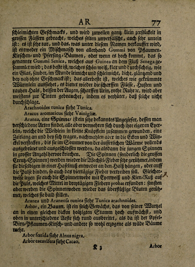 fdgeimicbten ©efcbmaifg, unb wirb juweilen ganfc Ekln jcrgücfeit in grojfen $äjfern gebraut, welche« feiten unoerfdlfebt, auch febr unrein ig: cg ig feig: rar, unb bat*, wag unter biefetn tftamen »erfauffet wirb, i(l entweber ein SWifcbmafcb »on aUerbanb Gummi bon gaumen» Äirfcben*unb ^ferftng Räumen, ober wenn eg bod> fommt, bag fo genannte Gummi Senica, welcbeg OUg Guinea an bCItt giuf; Senegage* fantmlct wirb; bag befte ig, n>cld>es febott weig, f lar unb t urebfiebtig, rote ein ©lag, faubcr,itn SÖtunbe leitnicbtunb fcbleimkbt, bicbt,gldn&enb unb bep nab ohne ©efebmaeütg; bagallerbege tfl, welcbeg n>ie gefrümmte SlBürmlein augfiebet, eg bienet wieber biefebarffen gliijfe, duften unb rauben $alg, beiffen ber Slugcn, fef>arffen Urin, rotbe Üiubr tc. voirb aber nteigeng jur hinten gebrauebet, inbem eg »erbötet, bag folebe nicht bur^fcblage. _ _ ■ Arachnoides tunica gebe Tunica. Aracus aromaticus gebe Vainigli«. Aranea, eine ©pinne/ ig ein fegr befannfeg Ungejiefer, beffen man »erfebicbene Sieten finbet, alle aber »ermebren geb bur<§ ihre eigenen Sper» lein, welche bie <2Beiblein in fletne Ä'nöpgetn jufanttnen gewunben, eine geitlang an unb bep geh tragen, nacbmablen aber in bie Sden unb £LBtn> cf el bergeef en, big ge im (Sommer oon bee dufferlicben 2ßärme poUcnbg auggebrutet unb auggefcbloffen werben, baalgbann bie jungen ©pinnen in grojfer Slnjabl berbov frieren, ©ic ©pinnen (fonberlid) bie greifen ©reub*©pinnen) werben wieber bie2BccbfcM5ieber febrgerübmet, inbem ge biefelbigen tn einer Jjafclnuf? entweOer an ben^aig bdngen, oberaufif bie ^3ulfe binben, fo aueb bag Pierfägige lieber Vertreiben foü. ©leicber* ^ Weife legen fte auch bie ©pinnenwebe mitUperweig unb Ä'iewDiug auf ' bie $)ulg, welcbeg Mittel in brepfdgigen fiebern probat erfunben: fongen ober werben bie ©pinnen weben wieber bag übergügige SMuten geröb“ tnet, welcbeg fte halb gtüen. - -■ Aranea Utib Araneolä tuniea gebe Tunica arachnoides. Arbor, ein 23aum, ig ein folcb @ewdd)g, bag üon feiner SEBurhel an in einen gleichen tiefen böigsten ©tatnm boeb aufwdcbg, unb oben in unterfebiebene Siege geh runb augbreitef, alg ba ig ber Sipfel* 58irn^gaumen^trfcbs unb anbere fo wohl erjogene alg wilbe SSdume wehr. Arbor feetida gebe Ainus nigra.C. ' Arbor cacavifera gebe Cacao. - Ä3 Arbor