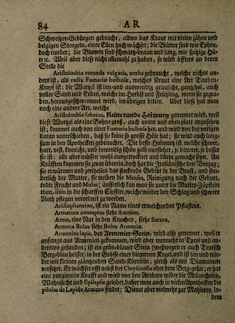 ©cbtpeiber-öebiirgen gebraut, allwo baß Äraut tnitotelenjdbenunb teigigen ©tengcln, einet ©len bod)mcbfet; bielölättet ftnb wie Spbeu, t>otib tunbet; bie Sßlumen ftnb fcbtoarb-btaun unb lang, tote fptfjige gü¬ tete. 2ßeil abet biefe nicbtallemabl ju haben, fo toirb öffterß an beten ©teile bie Ariftoloehia rotunda vulgaris, nothagebtöU^t, toeldbe nidbtß (tB? betß ijf, alß radi* Fumarise buibof«, roel^cö .Sxi'aut eine 21 vt tauben- Ätopf ift: bie 2But^l ift irin-unb außwenbig grauliebt, ganbbol, aud) Pollec ©anb unb ©ben,welche im .fjerbjhtnbgriibiinfl, wenn fie gegra« ben, beraußgefebwemmet wirb, im übrigen bittet. Uber biefe bat man »toeb eine anbere 2lrt, welche Ariftoloehia fabacea, Flctrte Utltbe i^oltPUtg gClteunCtWitb, WCll biefe •SBurljel alß einclöobnegroj?, auch unten unb oben platt anjufeben ift; fommet aueb oon einet Fumariabuibofa bet; unb wirb pon bet porigen baran untetfebteben, baf? fte feine fo gtoffe ^iole bat; fte wirb audb lang? fam in ben 2lpotbecfen gebrauchet. £>ie befte #olwurb ift, toelcbe ferner, hart, oefi, f notiebt, unb tnwenbig feben gelb außjtebct; je bitterer, je bejfer fteift: alle aber müjfen woblaußgetrocfnet unb butte gemacht fepn. 2fn «©äfften fommen fte jvoat übetein,bocb bat bie 3taltänifcbeben ^Sorjug; fte erwärmen unb jertbeilen baß ftoefenbe ©eblüt in bet iöruft, unb fort* berlicb bet SOlutter, fte treiben bie Menfes, Steinigung nach bet ©eburt, tobte §rucbt unb Molas; äufferlicb fan man fte unter bie SDJutter-gäpflein tbun, item in bie febarffen Slpftire,welche wieber ben ©cblag unb fernere Stotb pflegen oerorbnetju werben. 4 Ariftophaneion, tfl ein Slawe eineß etweicbenben ^flafterß. Armacura conceptus ftebe Amnion. Arme, eine Slat in ben ^nodten, ftebe Sutura. Armena Bolus ftebe Bolus Armenix. Armenius lapis, bet 2(tttterttet*©tetrt, wirb alfb genennet, tocil et anfangs auß Armenien gefommen, wirb aber nunmehr tn ?!prol unb an« berßwo gefunben; ift ein grün-blauer ©tein (weswegen er audb ^eutfeb 58erg*blau bet jfet) in bet Stoffe einet blepetnen S?ugel,unb ifl bin unb tote? bet mit Eieinen glän^enben ©anb-S?6mlein, gleich als mit ©iamanten perfekt. Sr wäcbfet offt nebft bet Chryfocoila ober bem ^öerg-gtun; er bat eine purgirenbe^rafftunbwirb Pon ben Arabern vmber bie Stlelancbolcp, SBabnfuebt unb Epiiepfiegelobet,habet man aueb in PielenSlpotbecfen bie pilulas de Lapid« Acmeuo fttibet i dienet aber otelmebr jut S)labletep, in- ■ N bem