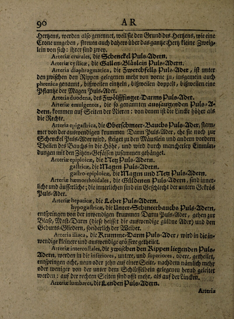 9° / ' efjcrbenö, werben alfo genertnet, weit fie t>cn ©runbbeS .£>er$ehs, wie eine €roneumgeben, flreuenaucl)bab«oüberDaSganfce #er§ fleine gweig* leinponftcb: tt>rcr ftnb jtisep. Arterise crurales, Me ScbencPel Pule^betn. Artcrise cyitic*, bie cSaUcii'/öluclcnt Pula=2lbctrt. Arteria diaphragmatica, E)ie StJXtdefcüß Pulo'2tbeC , ijl UHfCt ben&wifcben Den üvippen gelegenen ntebt Pon Powe ju, insgemein auch phrenica genannt, bifjweilen einzeln, bisweilen Doppelt, bijjwetlen.eine 5>flanfcc bet ©Zagen *}>ulö>$lber. Arteria duodena, bes Jwolfffirtget^iDat'tttß Pu[a^2tbee. Arteria: emulgentcs. Die fo genannten auofaugettben Pulsest* bem,fommen auf ©eiten bet Mieten: Pon Denen tfi bie Sincfc böber als bie Steife. Arteria epigaftrica, Die <Dbel'fcbtttCCt5234UCbß Ptjlo-2lbet, ftatltü» met Pott bet auöwenbtgen ftummen ©arm^>ul&2lbcr, cfje fte noch jut ©dbencfef ^Mtl&^lber wirb, ffeiget ju Den ©Zäuölein unb anbevn »orbern feilen bcö 5>aud)P in Diedööbe, unb votvb Durch mancherlei) Stnmtm« Dung«? mit Den piibcn*©efdj]l'n jufammen gelanget Arten» epiploicse, Die tTegPals-^bem. gattric». Die Hingen Pulsj2li>ent. gaftro-epiploicse, b!C Hingen Urtb PtCt? Plllß«2fbet'n. Arteri* h*morrhoidaIes, Die CSütlberten Putß-2töetrt, ftnb inner« liebe unb dufferlicbe; bie innerlichen ftnb ein ©cfcblccbt bet un tern ©efröö ^ufeStber. Arteria: hepatic», bie jLebet Pulß«2(bcm. . hypogaftri c*, Die Utttee'Scbutecrbuucbß puld’2lberrt, enffprtngen Don bet inwenbtgcn ftummen ©arm ^3uls«?Jbet, geben jut 55!afe, ©ZafZ*©arm (biefe bet jfet Die außwcnDtge gülbne 2lber) unb Den @elnitf&©ftcbern, fonbcrlfch bet 'iöcibet. Arteria iliaca* Die KntmrncnDnmt Pulß=2fbcr / wirb in bie in* tpenbige Reinere unb auöwenbigc gtdffcregefbeilet, Arten* intercoftales. Die 3t»t|'cfee(t beit Ätppe« Itegettbctt Pltlß« 2tbem, werben in bie inferiores, untere, unb fuperiores, obere, getbcilet, entfpringen acht, neun ober jebtt auf einer ©eite, nad)bem ndroliehmebr ober weniger pon Der unter Dem ©ebtüffeibein gelegenen berab geleitet werben: auf Der rechten ©eiten jinb offt mehr, als auf Der 8intÄ Arteri* lumbares,bie Ä-mbeti PuierSlbettt» Arteria