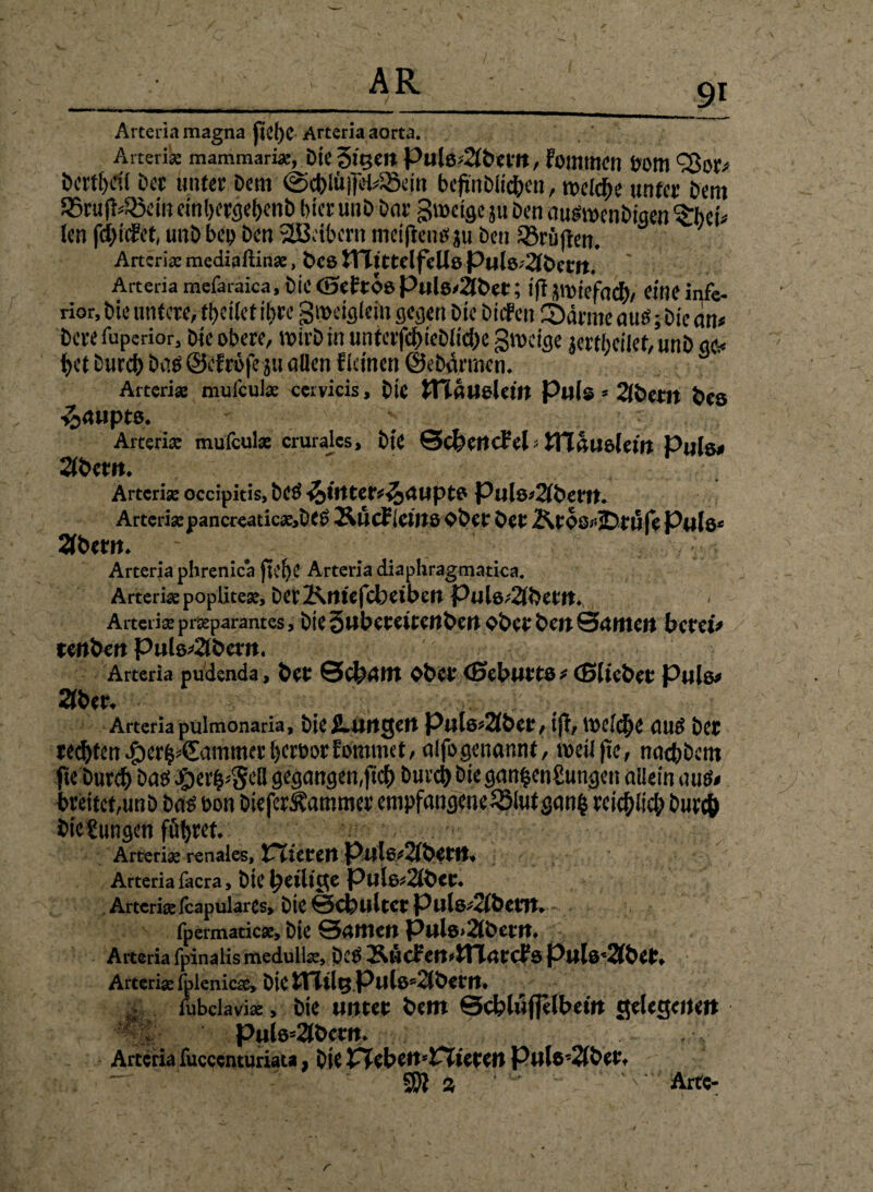 Arteria magna jicf)C Arteria aorta. Arteria: mammariat, Die SlQCIt PulßSlDeitt, foijmttt) Pott! <2$or* bcrtf)d( Dcc unter Dem ©cblup^em befirjbttdjen, me(d)e «nfer Dem 95rufcQ3ein einl)ergel>enD hier unD Dar groetge ju Den ausmenDigen ^hei* len fd)ic?et, unD bep Den SSBeibent mcifienef ju Den Prüften. Arteria: mediaftinse, Des JTTittelfells PulsdäDcftt. Arteria mefaraica. Die (BeEtOS Puls/2lDet; ifl JltMefacf)/ eine infe¬ rior, Die untere,teilet ihre gmeigleitt gegen Die Dicfen ©arme aus; Die an* Dere fuperior, Die obere, umvD in untafci)iciMid)c gmeige jertheilet, unD ao.< f>et Durcfe Dab ©efröfeju allen fkinen ©eDärtnen. Arterise niuicuk cervicis, Die ITbuielcm Puls * 2li>cm Des Raupte. Arterise mufeulx crurales, Die ©cbcitcfcl tYlhli&lein Puls* SfDetit. Arteria: occipitis, Dc$ e5)üttet*<34upts Puls*2fPet‘U. Artcrisepancreatic*,DeS ÄUCfieWO «Der Der &t«8*jDrijfe Puls* 2TDern. ; Arteria phrenica jtdjc Arteria diaphragmatica. Arteriaepopütese, DerÄttiefcbeiben Puls*2lDetn., Arteria: prseparantes, DlC ÖUbctettcnbcrt «Der beit SiilttClt bctci* tenDen puls*2(Dero. Arteria pudenda, Der 0clj>ant «Der ©ebutts* ©lieber Puls* 2(Der. Arteria pulmonaria, DiejLtUigcrt Puls*2(ber, ijt, Weiche auö Der rechten #er^€ammerI)erborEommet, alfogenannt, roeil|te, nac&Dcnt ftc Durcf) Daö$er$*$cQ gegangen,fiel) DurcD Diegan§en€ungett allein aus* breitet,unD Das bon DieferÜammer empfangene £51ufgan(ä rcic^Uc^ Dur# Dicgungen flirret. Arteria: renales, Vlitttn Arteria facra, Die ^eilige Puls*2lDet. Artcriselcapulares, Die 0cDultCt Puls*2lbetn.- fpermatiese, Die 04ITJen Puls>2lbertt. Aiteria fpinalis medull«, Des ÄücFen»lTTarcEs Pulstet, Arterise fplenicse, Die ITltlg PulS'ittÖertt. fubclavise, Die unter Dem ©cblüffelbein gelegene!* -i Pu(s*3bcm. Arteria fuccenturiata, Die P?ebett*PTteren Puls’2lber» SW ä ’ ‘v Arte- r