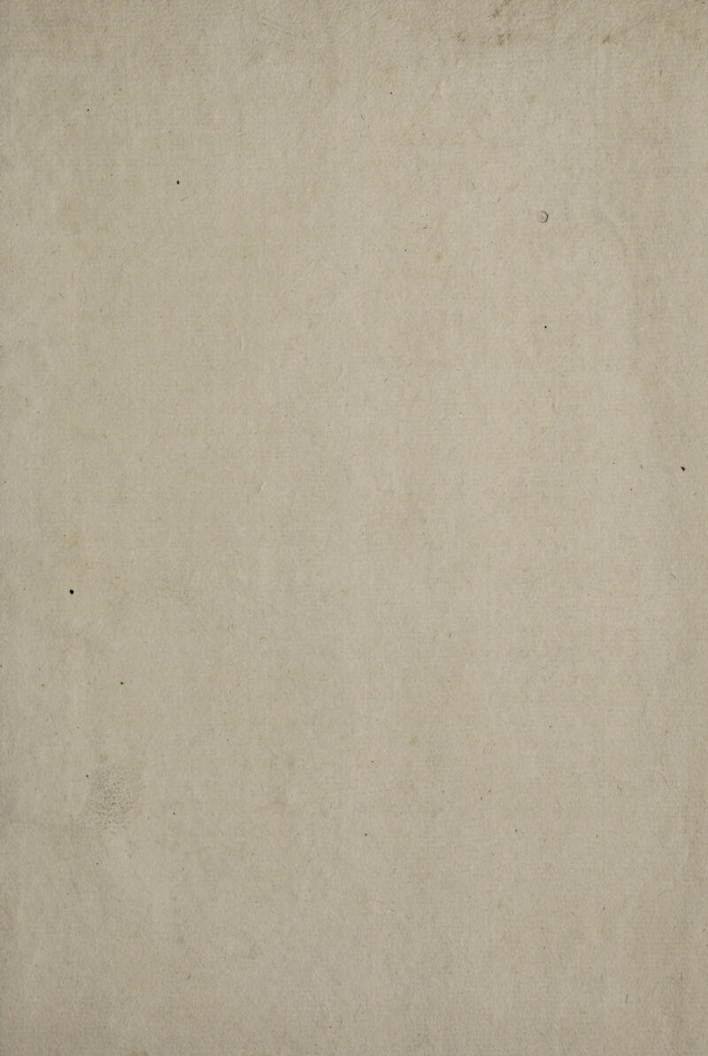 •f. .■ y \ i \ » &  V Vf j - ' ‘ S . - , ’ jr / 's I • .1 r • • ■’ r:' i ■ • -■ '• Vv *»■ V ' / * S