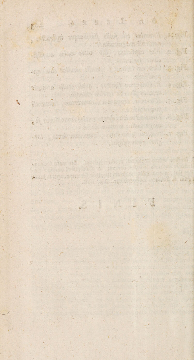 ■X ■s. I \ % r %