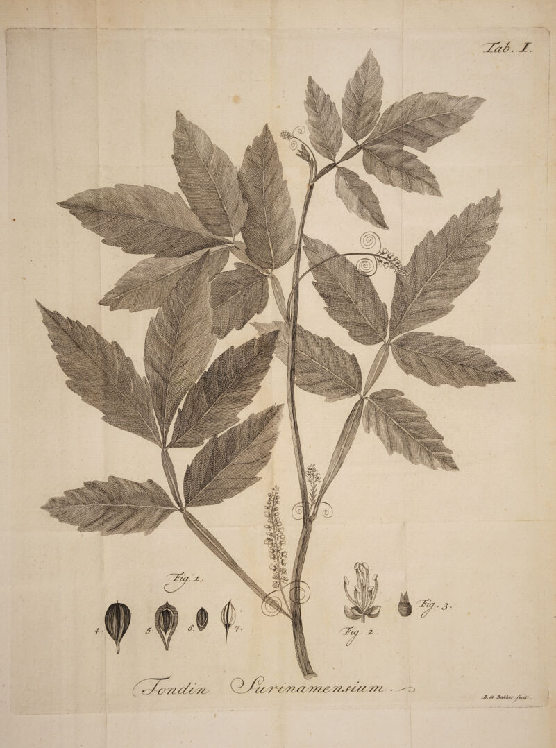 IZaS. f 071C&71, 77 7*7'7l<2. 7/177 77,/777 m ~B. (Te SaJzker I