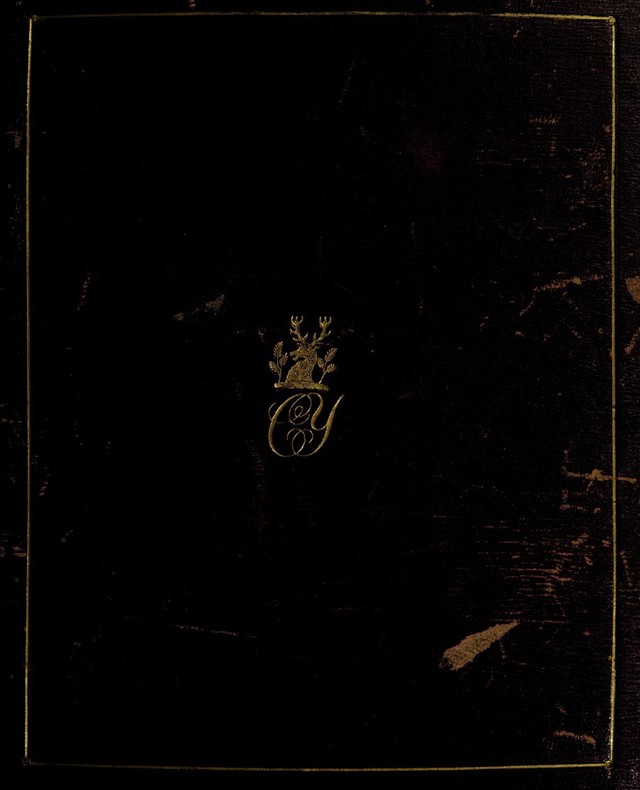 No text description is available for this image