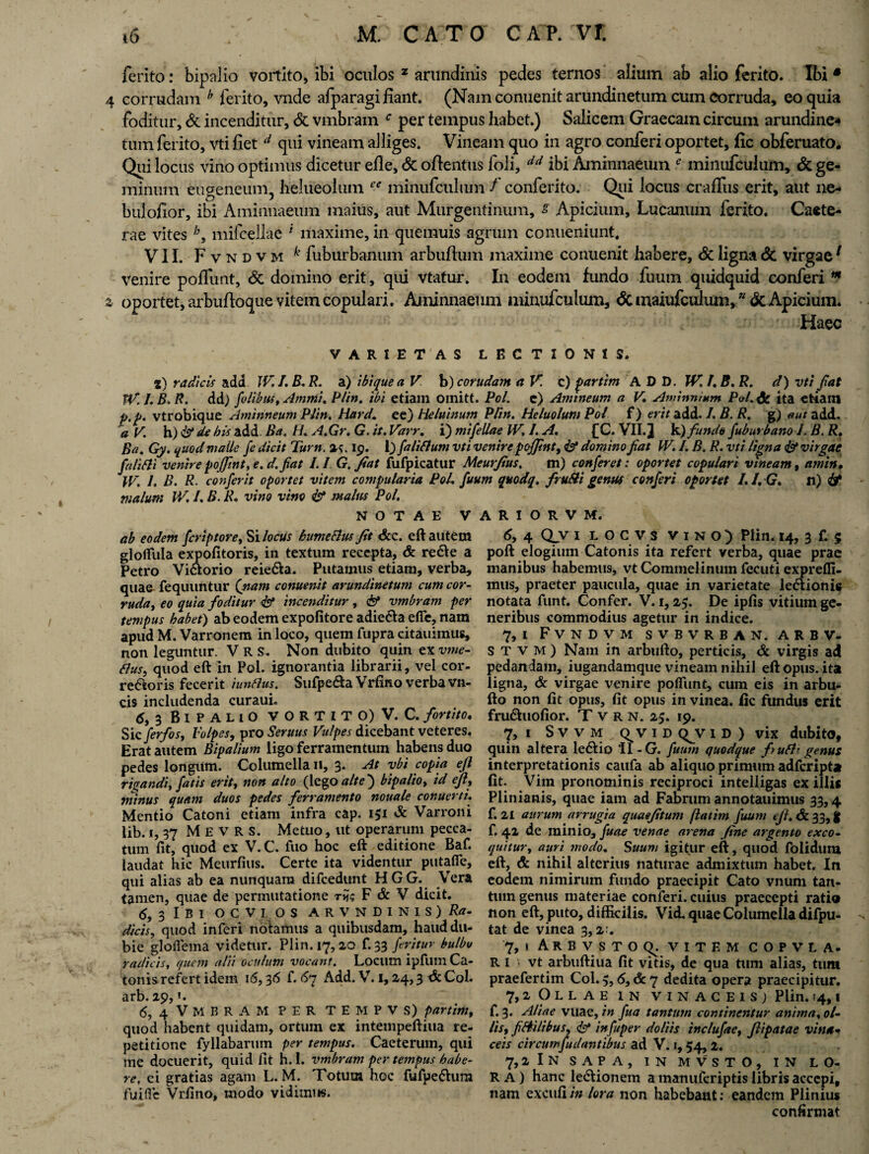 4 z ferito: bipalio vortito, ibi oculos 2 arundinis pedes ternos alium ab alio ferito. Ibi * corrudam b ferito, vnde afparagi fiant. (Nam conuenit arundinetum cum corruda, eo quia foditur, & incenditur, & vmbram c per tempus habet.) Salicem Graecam circum arundine¬ tum ferito, vti fiet d qui vineam alliges. Vineam quo in agro conferi oportet, fic obferuato. Qui locus vino optimus dicetur efle, & oftentus foli, dd ibi Aminnaeum * minufculum, & ge¬ minum eugeneum, helueolum e' minufculum / conferito. Qui locus craffus erit, aut ne- bulofior, ibi Aminnaeum maius, aut Murgentinum, s Apicium, Lucanum ferito. Caete- rae vites h, mifcellae i maxime, in quemuis agrum conueniunt, VII. Fvndvm k fuburbanum arbuflum maxime conuenit habere, <$t ligna & virgae1 venire poliunt, & domino erit, qui vtatur. In eodem fundo fuum quidquid conferi ** oportet, arbufloque vitem copulari. Aminnaeum minufculum, & maiufculum, ” & Apicium. ’ Haec VARIETAS LECTIONIS. l) radicis add JV I. B. R. a) ibi que a V b) corudam <i V. c) partim A D D. JV. I. B. R. d) vti fiat W.I.B.R. dd; folibus, Ammi. Plin. ibi etiam omitt. Pol. e) Annneum a V. Aminnium P&/.& ita etiam p.p. vtrobique Aminneum Plin, Hard. e e) Heluinum Plin. Heluolum Pol f) erit add. /. B. R. g) aut add. a V. h )& de bis add. Ba< H. A.Gr. G. it. Varr. i) mifellae IV. /. A. £C. VII. J k) fundo fub urbano 1. B. R. Ba. Gy. quod malle fe dicit Tum. 2?. 19. 1) filiAum vti venire poffint, & domino fiat W. I. B. R. vti ligna Id virgae fidi Ai venire pofjint, e. d. fiat /. / G. fiat fufpicatur Meurfius. m) conferet: oportet copulari vineam, amn, JV. 1. B. R. confer it oportet vitem compularia PoL fuum quodq. fruAi genus conferi oportet /./.<?. n) & malum W. I. B. R. vino vino & malus Pol. NOTAE VARIORVM. ab eodem fcriptore, Si locus humeAus fit &c. eft autem gloilula expofitoris, in textum recepta, & re&e a Petro Viaorio reie&a. Putamus etiam, verba, quae fequuntur (nam conuenit arundinetum cum cor- ruda, eo quia foditur & incenditur, & vmbram per tempus habet) ab eodem expofitore adie&a efle, nam apud M. Varronem in loco, quem fupra citauimus, non leguntur. V R S. Non dubito quin ex vme- Aus, quod eft in Pol. ignorantia librarii, vel cor- re&oris fecerit iunAus. Sufpe&a Vrfino verba vn- cis includenda curaui. 6, 3 BlPALlO VORTITO) V.C. fortito. Sic fer f os, Volpes, pro Seruus Vulpes dicebant veteres. Erat autem Bipalium ligo ferramentum habens duo pedes longum. Columella ii, 3. At vbi copia ejl rigandi, fatis erit, non alto (lego alte) bipalio, id ejl, minus quam duos pedes ferramento nouale conuerti. Mentio Catoni etiam infra cap. 151 & Varroni lib. i, 37 M E V R S. Metuo, ut operarum pecca¬ tum fit, quod ex V.C. fuo hoc eft editione Baf. laudat hic Meurfius. Certe ita videntur putafle, qui alias ab ea nunquam difcedunt HGG. Vera tamen, quae de permutatione r*j; F & V dicit. 6, 3 IBI OCVIOS ARVNDINIS) Ra¬ dicis, quod inferi notamus a quibusdam, haud du¬ bie gloflema videtur. Plin. 17,20 f.33 feritur bulbo radicis, quem alii oculum vocant. Locum ipfum Ca¬ tonis refert idem 16,36 f. 67 Add. V. 1,24,3 t&Col. arb. 29, (5, 4 Vmbram per tempvs) partim, quod liabent quidam, ortum ex intempeftiua re¬ petitione fyllabarum per tempus. Caeterum, qui me docuerit, quid fit h. 1. vmbram per tempus habe¬ re, ci gratias agam L. M. Totum hoc fufpe&ur» fuifle Vrfino, modo vidimus. 6, 4 Qv 1 locvs vino) Plin. 14, 3 f. 5 poft elogium Catonis ita refert verba, quae prae manibus habemus, vtCommelinumfecuti exprelfi- mus, praeter paucula, quae in varietate le&ionis notata funt. Confer. V. 1,25. De ipfis vitium ge¬ neribus commodius agetur in indice. 7.1 Fvndvm svbvrban. arbv- s t v m ) Nam in arbufto, perticis, & virgis ad pedandam, iugandamque vineam nihil eft opus, ita ligna, & virgae venire poliunt, cum eis in arbu¬ fto non fit opus, fit opus in vinea, fic fundus erit fru£hiofior. T v r n. 25. 19. 7, 1 S v v m v i d qjv id) vix dubito, quin altera le&io 'II - G. fuum quodque f>uA> genus interpretationis caufa ab aliquo primum adferipta fit. Vim pronominis reciproci intelligas exiliis Plinianis, quae iam ad Fabrum annotauimus 33,4 f. 21 aurum arrugia quaefitum (latim fuum ejl. &. 33, g f, 42 de minio, fuae venae arena fine argento exco~ quitur, auri modo. Suum igi(ur eft, quod foliduiu eft, & nihil alterius naturae admixtum habet. In eodem nimirum fundo praecipit Cato vnum tan¬ tum genus materiae conferi. cuius praecepti ratio non eft, puto, difficilis. Vid. quae Columella difpu- tat de vinea 3,2:. 7, 1 Arbvstoql vitem copvla- R 1 • vt arbuftiua fit vitis, de qua tum alias, tum praefertim Coi. 5,6, dc 7 dedita opera praecipitur. 7.2 Ollae in vinaceis; Plin.»4,1 f. 3. Aliae vuae, in fua tantum continentur anima, 0/- lis, fiAilibus, isf infuper doliis inclufae, fiipatae vina* ceis circum fu dant ibus ad V. 1, 54, 2. 7,2 I N SAPA, IN MVSTO, IN LO¬ RA) hanc le&ionem a manuferiptis libris acccpi, nam excufiin lora non habebant: eandem Plinius confirmat