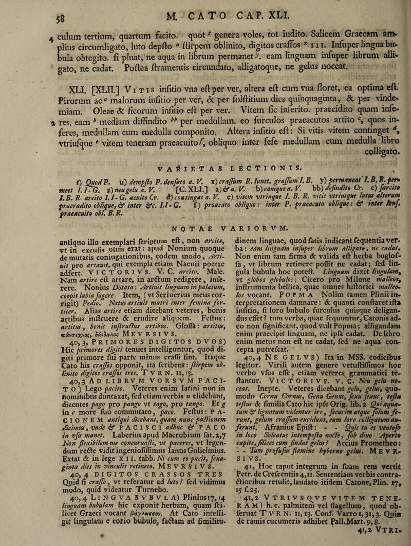 4 culum tertium, quartum facito, quot ‘ genera voles, tot indito. Salicem Graecam am¬ plius circumligato, luto depfto  ftirpem oblinito, digitos cralfos * in. Infuper lingua bu¬ bula obtegito, fi pluat, ne aqua in librum permanet v. eam linguam infuper librum alli¬ gato, ne cadat. Poflea jflramentis circundato, alligatoque, ne gelus noceat. XLI. [XLII.] Vitis infitio vna eft per ver, altera eft cum vua floret, ea optima eft. Pirorum ac* malorum infitio per ver, & per folftitium dies quinquaginta, & per vinde¬ miam. Oleae & ficorum infitio di. per ver. Vitem fic inferito. praecidito quam infe- % res. eam b mediam diffindito kb per medullam, eo furculos praeacutos artito quos in* feres, medullam cum medulla componito. Altera infitio eft: Si vitis vitem continget vtriufque e vitem teneram praeacuito A, obliquo inter fefe medullam cum medulla libro colligato. VARIETAS LECTIONIS. t) Oitod?. u) dempflo P.denfato a. V. \)craffum R. Iuntt. grajjum I.B. y) permaneat T.B.R.fer* meet l.TG. i) neu gelu a. V. [C. XLI.] a )&a.V. b) eamque a. V bb) defindito Cr. c) farcito /. B. R. arcito I. /- G. acuito Cr. d) contingat a. V. e) vitem vtrinque /♦ B. R. vitis vtriusque latus alterum f>raeradito oblique y & inter &c. /./• G. Y) pro acuto obliquo: inter P. praeacuto oblique: & inter lenf. praeacuito obi. B. R. NOTAE VARIORVM. antiquo illo exemplari fcriptum eft, non arcito, vt in excutis ohm erat: apud Nonium quoque demutatis coniugationibus, eodem modo, Arti- tiit pro artauit, qui exempla etiam Naeuii poetae adfert. ViCTORivs. V. C. arcito. Male. Nara artire eft artare, in arCtum redigere, infe- rere. Nonius Dotata: Artiuit linguam in palatum, coepit labia fugere Item, ( vt Scriuerius meus cor¬ rigit) Pedio. Natus artiuit matri inter femina for¬ titer. Alias artire etiam dicebant veteres, bonis artibus inftruere & erudire aliquem. Feftus: artitus, bonis injlruflus artibus. GlotTa: artitus, 9uxvrexvoGf MEV RSIVS. 40,3, Primores digitos dvos) Hic primores digiti tenues intelliguntur, quod di¬ giti primore fui parte minus cratli fint. Itaque Cato his crajjos opponit, ita fcribens: flirpem ob¬ linito digitos craffbs tres. T V R N. II, 13. 40.3 Ad librvm vorsvm faci¬ to) Lego pacito. Veteres enim latini non in nominibus duntaxat, fed etiam verbis n elidebant, dicentes pago pro pango vt tago, pro tango. Et g in c more fuo commutato, paco. Feftus: P A- C I O N E M antiqui dicebant, quam nunc partionem dicimus, vnde & PACISCI adhuc PACO in vfu manet. Laberius apud Macrobium fat. 2,7 Non flexibilem me concuruafli, vt paceres, vt legen¬ dum reCte vidit ingeniofiilimus Ianus Gulielmius. Extat & in lege XII. tabb. Ni cum eo pacit, fexa- ginta dies in vinculis retineto. MEVRSIV S. 40, 4 DIGITOS CRASSOS TRES Quid fi craffb, vt referatur ad luto ? fed vidimus modo, quid videatur Turnebo. 40.4 Lingva bvbvla) Plinius 17,14 linguam bubulam hic exponit herbam, quam fci- licet Graeci vocant 1Sisyiuccov. At Cato intelli- git lingulam e corio bubulo, faCIam ad fimilitu- dinem linguae, quod fatis indicant fequentia ver¬ ba : eam linguam infuper librum alligate, ne cadat♦ Non enim tam firma & valida eft herba buglof- fa, vt librum retinere poflit ne cadat; fed lin¬ gula bubula hoc poteft. Linguam dixit lingulama vt globos globulos; Cicero pro Milone malleos, inftrumenta bellica, quae omnes hiftorici malleo¬ los vocant. P O P M a Nolim tamen Plinii in¬ terpretationem damnare: & quanti conftaret ifta infitio, fi loro bubulo furculus quisque deligan¬ dus elfet? tum verba, quae fequuntur, Catonis ad¬ eo non fignificant, quod vult Popma; alligandam enim praecipit linguam, ne ipfa cadat. De libro enim metus non eft ne cadat, fed ne aqua con¬ cepta putrefcat. 40,4 Ne gelvs) Ita in MSS. codicibus legitur. Virili autem genere vetuftiflimos hoc verbo vfos efle, etiam veteres grammatici te- ftantur. ViCTORivs. V.\. Neu gelu no¬ ceat. Inepte. Veteres dicebant gelu, gelus, quo¬ modo Cornu Cornus, Genu Gentis, fexu Jexus, teflu teflus & fimilia Cato hic ipfe Orig. lib. 2 Qui aqua¬ tum & lignatum videntur ire, fecurim atque folum fe¬ runt, gelum crajfum excidunt, eum loro colligatum au¬ ferunt. Afranius Epift: - - Quis tu es ventofo in loco Soleatus intempejla norte, fub diuo Aperto capite, filices cum findat gelus * Accius Prometheo: - - Tum profufus flamine hyberno gelus. M E V R- S I VS. 41, Hoc caput integrum in fuam rem vertit Petr. de Crefcentiis 4,11. Sententiam verbis contra¬ ctioribus retulit, laudato itidem Catone, Plin. 17, 15 f.2j. • 41, 2 VTRIVS Q^V EVITEM TENE¬ RAM) h.e. palmitem vel flagellum, quod ob- feruat Tvrn. ii, 13. Conf. Varro 1,31,3. Quin de ramis cucumeris adhibet Pali. Mart. 9,8. 4T>2, Vtri.