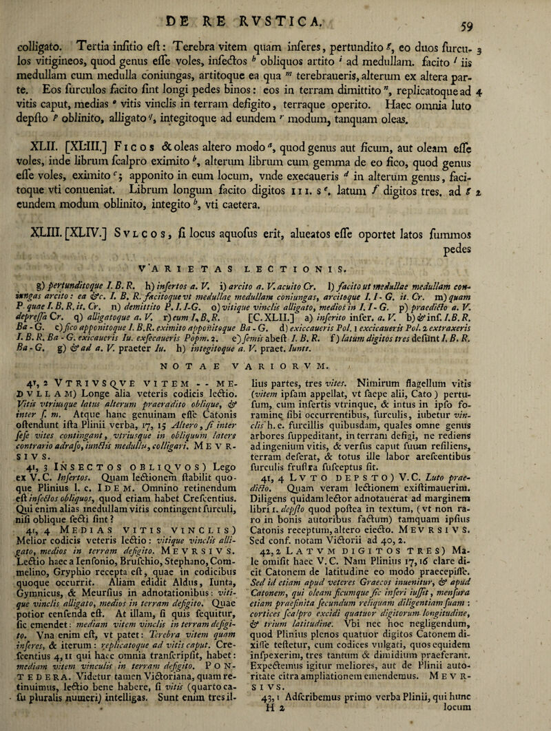59 colligato. Tertia infitio eft: Terebra vitem quam inferes, pertundito^, eo duos furcu- 3 los vitigineos, quod genus elfe voles, infe&os h obliquos artito 1 ad medullam, facito 1 iis medullam cum medulla coniungas, artitoque ea qua m terebraueris, alterum ex altera par¬ te. Eos furculos facito fint longi pedes binos: eos in terram dimittito ”, replicatoque ad 4 vitis caput, medias • vitis vinclis in terram defigito, terraque operito. Haec omnia luto depfto P oblinito, alligato(/, integitoque ad eundem r modum, tanquam oleas. XLII. [XLill.] Ficos & oleas altero modo a> quod genus aut ficum, aut oleam efle voles, inde librum fcalpro eximito alterum librum cum gemma de eo fico, quod genus efle voles, eximitoapponito in eum locum, vnde execaueris d in alterum genus, faci- toque vti conueniat. Librum longum facito digitos 111. s \ latum f digitos tres, ad t % eundem modum oblinito, integito b9 vti caetera. XLIII.[XLIV.] Svlcos, fi locus aquofus erit, alueatos effe oportet latos fummos V A R I E T A S LECTIONIS. g) pertunditeque I. B. R. h) infertos a. V. i) arcito a. V acuito Cr. I) facito ut medullae medullam con¬ iungas arcito: ea &c, I. B. R. facito que vt medullae medullam coniungas, arcito que 1.1- G. it. Cr. m)quam P quae L B. R. it. Cr. n) demittito P. /. I-G. o) vitique vinclis alligato, medios in I. /- G. p) praediflo a. V. depreffaCr. q) alligatoque a. V. r) cum /„ B,. R. [C.XLII.] a) inferito infer, a. V. b)<^inC.I.B.R. Ba - G. c) fco apponitoque 1. B.R. eximito appofiitoque Ba - G. d) exiccaueris Pol. i excicaueris Pol. i extraxeris /. B. R. Ba - G. exicaueris Iu. exfecaueris Popm. 2. e) femis abeft L B. R. i) latum digitos tres defUnt I, B. R. Ba-G. g) ad a. V praeter Iu. h) integitoque a. V. praet. Iuntt. NOTAE V 4% 2 V T R I V S Q^V E VITEM - - M E- X) v L L A M) Longe alia veteris codicis Iedtio. Vitis vtrituque latus alterum pr aera dito oblique, <& inter f. m. Atque hanc genuinam efle Catonis oftendunt ifta Plinii verba, 17, 15 Altero, fi inter fifi vites contingant, vtriusque in obliquum laters contrario adrafot iunflis medullu, colligari. M E V R- SIVS. 41, 3 Insectos obli v o s ) Lego ex V. C. Infertos. Quam Ie&ionem ftabilit quo¬ que Plinius 1. c. Idem. Omnino retinendum eft infeflos obliquos, quod etiam habet Crefcentius. Qui enim alias medullam vitis contingent furculi, nili oblique fe&i fint ? 41,4 Medias vitis vinclis) Melior codicis veteris le&io: vitique vinclis alli¬ gato , medios in terram defgito. MeVRSIV S. Le&io haec a Ienfonio, Brufchio, Stephano, Com- melino, Gryphio recepta eft, quae in codicibus quoque occurrit. Aliam edidit Aldus, Iunta, Gymnicus, & Meurfius in adnotationibus: viti¬ que vinclis alligato t medios in terram defgito. Quae potior cenfenda eft. At illam, fi quis fequitur, fic emendet: mediam vitem vinclis in terram defgi¬ to. Vna enim eft, vt patet: Terebra vitem quam inferes, & iterum: replicatoque ad vitis caput. Cre¬ fcentius 4,11 qui haec omnia tranfcripfit, habet: mediam vitem vinculis in terram defgito. P O N- TEDE RA. Videtur tamen Vi&oriana, quam re¬ tinuimus, le&io bene habere, fi vitis (quarto ca- fu pluralis jnumeri) intelligas. Sunt enim tres il- A R I O R V M. f lius partes, tres vites. Nimirum flagellum vitis (vitem ipfam appellat, vt faepe alii, Cato ) pertu- fum, cum infertis vtrinque, & intus in ipfo fo¬ ramine fibi occurrentibus, furculis, iubetur vin¬ clis'h. e. furcillis quibusdam, quales omne genus arbores fuppeditant, in terram defigi, ne rediens ad ingenium vitis, & verfus caput fuum refiliens, terram deferat, & totus ille labor arefeentibus furculis frufira fufeeptus fit. 41, 4 L V T O D E P S T O ) V. C. Luto prae¬ diflo. Quam veram le&ionem exiftimauerim. Diligens quidam ledtor adnotauerat ad marginem libri 1. depfio quod poftea in textum, (vt non ra¬ ro in bonis autoribus fadtum) tamquam ipfius Catonis receptum, altero eiedlo. M E v R S I V S. Sed conf. notam Vidlorii ad 40, 2. 41,2 Latvm DIGITOS TRES) Ma¬ le omifit haec V. C. Nam Plinius 17,16 clare di¬ cit Catonem de latitudine eo modo praecepifle. Sed id etiam apud veteres Graecos inuenituvf & apud Catonem, qui oleam f cumque fc inferi iufft, menfura etiam praefinita fecundum reliquam diligentiam fuam : cortices fcalpro excidi quatitor digitorum longitudine, & trium latitudine. Vbi nec hoc negligendum, quod Plinius plenos quatuor digitos Catonem di- xifle teftetur, cum codices vulgati, quos equidem infpexerim, tres tantum St dimidium praeferant. Expediemus igitur meliores, aut de Plinii auto- ritate citra ampliationem emendemus. M E V R- S 1 vs. 43,1 Adfcribemus primo verba Plinii, qui hunc H z locum