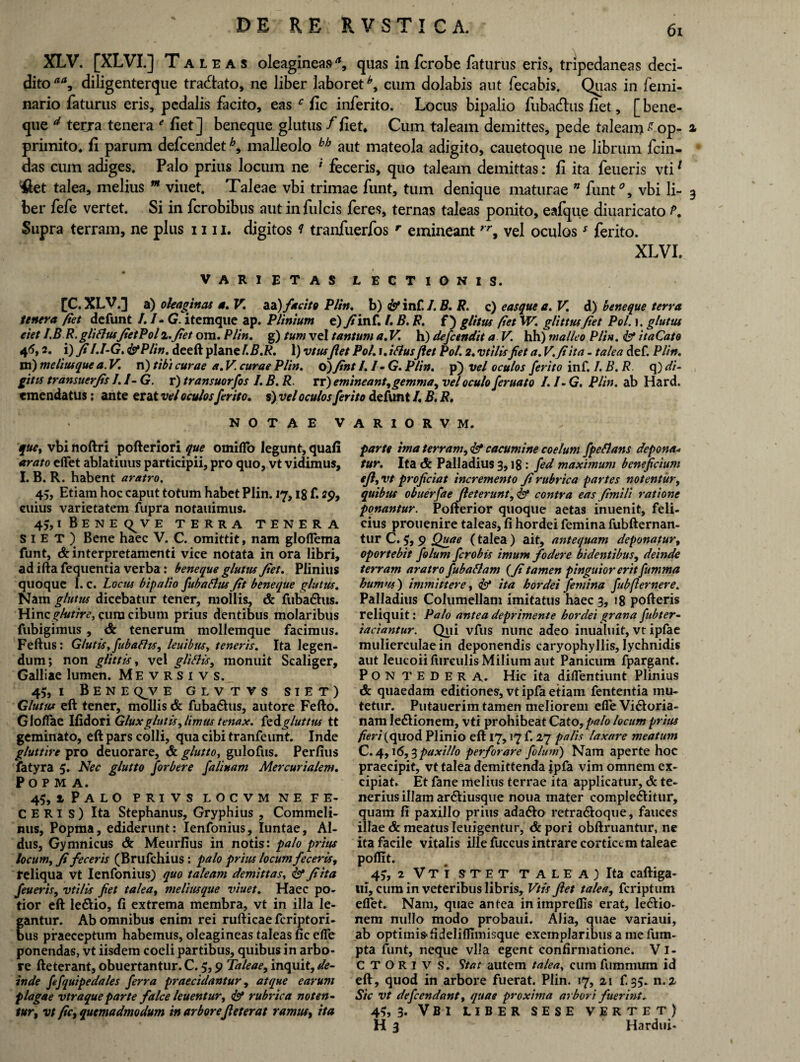 XLV. [XLVI.] Taleas oleagineas»a9 quas in fcrobe faturus eris, tripedaneas deci¬ dito aa9 diligenterque tradato, ne liber laboret cum dolabis aut fecabis. Quas in femi- nario faturus eris, pedalis facito, eas c fic inferito. Locus bipalio fubadus fiet, [ bene- que d terra tenera * fiet] beneque glutus / fiet. Cum taleam demittes, pede taleam ^op- a, primito. fi parum defcendeth, malleolo bb aut mateola adigito, cauetoque ne librum fcin- das cum adiges. Palo prius locum ne * feceris, quo taleam demittas: fi ita feueris vti1 #et talea, melius w viuet. Taleae vbi trimae funt, tum denique maturae * funt*, vbi li- 3 ber fefe vertet. Si in fcrobibus aut infulcis feres, ternas taleas ponito, eafque diuaricato f. Supra terram, ne plus 1111, digitos i tranfuerfos r emineant ,yf vel oculos* ferito. XLVI. VARIETAS LECTIONIS. [C. XLV.] a) oleaginas a. V. aa)facito Plin. b) & inf. /. B. R. c) easque a. V. d) beneque terra tenera fiet defunt /. /- G. itemque ap. Plinium e)Jim£. I. B, R. f ) glitus fiet W. glittusfiet Pol. i. glutus eiet I.BR. glittusJietPoll.Jiet ora. Plin. g) tum vel tantum a. V. h) defcendit a V. hh) malleo PUh. & itaCate 45,2. i) fi I.l-G. <&PHn. deeft plane l.B.R. 1) vtusJiet Pol. i.ittusJiet Pol. 2. vtilis Jiet a. V. fi ita - talea def. Plin. m) meliusque a. V. n) tibi curae a. V. curae Plin. o) Jint /. / - G. Plin. p) vel oculos ferito inf. l.B.R q) di¬ gitis transuerjis I. /- G. r) transuorfos I. B. R. rr) emineant,gemma, vel oculo feruato /. /- G. Plin. ab Hard. emendatus: ante erat vel oculosferito. s) vel oculos ferito defunt /. B, R. NOTAE VARIORVM. que, vbi noftri pofteriori que omifio legunt, quafi arato eflfet ablatiuus participii, pro quo, vt vidimus, I. B. R. habent aratro. 45, Etiam hoc caput totum habet Plin. 17,18 f. 29, cuius varietatem fupra notauimus. 4j, i Bene (^ve terra tenera S i E T ) Bene haec V. C. omittit, nam glolfema funt, & interpretamenti vice notata in ora libri, ad ifta fequentia verba: beneque glutus Jiet. Plinius quoque 1. c. Locus bipalio fubattusJit beneque glutus. Nam glutus dicebatur tener, mollis, & fubadhis. Hincg/utire, cura cibum prius dentibus molaribus fubigimus , & tenerum mollemque facimus. Feftus: Glutis, ftbattis, leuibus, teneris. Ita legen¬ dum; non glittis, vel glittis, monuit Scaliger, Galliae lumen. Mevrsivs. 45, i Bene qjv e glvtvs siet) Glutus eft tener, mollis & fubadhis, autore Fefto. Glofiae Illdori Gluxglutis, limus tenax, fedgluttus tt geminato, eft pars colli, qua cibi tranfeunt. Inde gluttire pro deuorare, & glutto, gulofus. Perfius fatyra 5. Nec glutto forbere faliuam Mercurialem. POPMA. 45, J P A L O PRIVS LOCVM NE FE¬ CERIS) Ita Stephanus, Gryphius , Commeli- nus, Popma, ediderunt: Ienfonius, Iuntae, Al¬ dus, Gymnicus & Meurfius in notis: palo prius locum, Ji feceris (Brufchius : palo prius locum feceris, reliqua vt Ienfonius) quo taleam demittas, & Jiita feueris, vtilis jiet talea, meliusque viuet. Haec po¬ tior eft le&io, fi extrema membra, vt in illa le- antur. Ab omnibus enim rei rufticae fcriptori- us praeceptum habemus, oleagineas taleas fic efie ponendas, vt iisdem coeli partibus, quibus in arbo¬ re fteterant, obuertantur. C. 5,9 Taleae, inquit, de¬ inde fefqutpedales ferra praecidantur, atque earum plagae vtraqueparte falce leuentur, & rubrica noten¬ tur, vt fic, quemadmodum in arborefeter at ramus, ita parte ima terram,<& cacumine coelum fpettans depona* tur. Ita & Palladius 3,l8: fed maximum beneficium ejl, vt proficiat incremento Ji rubrica partes notentur, quibus obuerfae jiet erunt, & contra eas fimili ratione ponantur. Pofterior quoque aetas inuenit, feli¬ cius prouenire taleas, fi hordei femina fubfternan- tur C. $, 9 Quae (talea ) ait, antequam deponatur, oportebit folum fer obis imum fodere bidentibus, deinde terram aratro fubattam (Ji tamen pinguior erit fumma humus ) immittere, ita hordei femina fubflernere. Palladius Columellam imitatus haec 3, 18 pofteris reliquit: Palo antea deprimente hordei grana fibter- iaciantur. Qui vfus nunc adeo inualuit, vt ipfae mulierculae in deponendis caryophyllis, Iychnidis aut leucoii furculis Milium aut Panicum fpargant. Pontedera. Hic ita diflentiunt Plinius & quaedam editiones, vt ipfa etiam fententia mu¬ tetur. Putauerim tamen meliorem efle Vi&oria- nam Iedlionem, vti prohibeat Catoypato locum prius fieri (quod Plinio eft 17,17 f. 27 palis laxare meatum C. 4,16,3paxillo perforare folum) Nam aperte hoc praecipit, vt talea demittenda ipfa vim omnem ex¬ cipiat. Et fane melius terrae ita applicatur, & te¬ nerius illam ar&iusque noua mater complebitur, quam fi paxillo prius adadlo retra&oque, fauces illae & meatus Ieuigentur, & pori obftruantur, ne ita facile vitalis ille fuccus intrare corticem taleae poflit. 4?, 2 Vti stet t a l e a ) Ita caftiga- ui, cum in veteribus libris, Vtis Jiet talea, feriptum eflet- Nam, quae antea inimpreflis erat, ledlio- nem nullo modo probaui. Alia, quae variaui, ab optimis- fideliflunisque exemplaribus a me fum- pta funt, neque vlla egent confirmatione. VI¬ CTOR I V S. Stat autem talea, cum fummum id eft, quod in arbore fuerat. Plin. 17, 21 f. 35. n.2 Sic vt defeendant, quae proxima arbori fuerint. 4$, 3. Vbi liber sese vertet) H 3 Hardui-