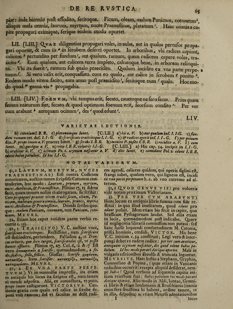 65 piat: inde biennio poft effodito, feritoque^ Ficum, oleam, malum Punicum, cotoneum* aliaque mala omnia, laurum, myrtum, nuces Praenefiinas, platanumHaec omnia a ca¬ pite propagari eximique, jferique eodem modo oportet. LII. [LIIIJ Qvae. diligentiuspropagarivoles,inaulas, aut in qualos pertufos propa¬ gari oportet, & cum iis 0 in fcrobem deferri oportet. In arboribus, vbi radices capiant, calicem b pertundito per fundumc, aut qualum, ramum, quem radicem capere voles, tra- iicito d. Eum qualum, aut calicem terra impleto, calcatoque bene, in arborem relinqui¬ to. Vbi ita fuerit % ramum fub qualo praecidito. Qualum incidito ex vna parte perpe- % tuum/. Si vero calix erit, conquaffato. cum eo qualo, aut calice in fcrobem e ponito h. Eodem modo vitem facito, eam anno pofl praecidito', feritoque cum 1 qualo. Hoc mo¬ do quod m genus vis n propagabis. r LIII. [LIV.] Foenvm, vbi tempus erit, fecato, cauetoque ne fero feces. Priusquam femen maturum fiet, fecato <$c quod optimum foenum erit, feorfum condito Per ver cum arabunt * antequam ocinumc, desd quod edunte. LIV. VARIETAS LECTIONIS. b) cotoniuml. J5, R. c)platanumque Iuntt. [C. LII.] ts)his a. V b) aut qualum inf. /. I-G. c) fun¬ dum ramum cet. def. 1. I-G. d) fcarijicato traiicitoque I.1- G. e) & radices egerit inf. 1.1- G. i) perpetuum diu.P. prope imum a. V praeter Iuntt. g) fcrobe I. B. R. h) monito P. pojito I. B. R. i) recidito a. V. 1) eum Iuntt. m)quodque a. V. n)vitisI.B.R.volueris I.I-G. [C.LIII.] a) Hic cap. 54. incipit in I.I-G. b) arabitur a. V. c) ocimum Po. 2. ocymum nafcatur a. V. d) dies Iuntt. c) comedant Pol. 2. edant /, B. R. edant bubus pabulum. Id hoc /./- G. NOTAE V A R I O R V M. $r, 2 Lavrvm, myrtvm, nvces Praenestinas) Etfi contra Codicum autoritatem, au&ius tamen fcripfifle Catonem con¬ tenderim, hoc modo : Laurum, prunum, myrtum, nuces Auellanat, & Praeneflinas. Plinius 17, 13 fidem fecit, quam temere nolim ei abrogatam, fic feribit: Cato propagari praeter vitem tradit ficum, oleam, Pu¬ nicam, malorum genera omnia, laurum, prunos, myrtos nuces Avellanas & Praenefiinas. Deinde feribo quo¬ que : malum Punicam, cotoneam, non Punicum, coto- neum. M E V R S. 52, Etiam hoc caput totidem paene verbis re¬ currit c. 133- . 52,1 TraiiCITO) V. C. au&ior voce, fcarijicato traiicitoque. Re&iflitne, nam fcarifcare eft defeindere, pertundere. Palladius 4, io Trun¬ cus arboris, quo loco turget, fcarifcandus ejt, vt pojjit bumor effluere. Plinius 17, 27. Coi. 6,12 & 17 Eft vero vnoxofitixov a fcarifo: quemadmodum, a fo¬ do, fodico, fello, fellico. GlofTae: Scarifo xxqxacu, Me V R S. 52, 2 Ex VNA PARTE PERPE- T V v M ) Vt in nonnullis impreflis, ita etiam in antiquis hic locus ita feriptus eft, nota tamen ei mendi adpofita. Alii, ex conie&ura, vtputo, prope imum caftigarunt. ViCTORivs. Cau¬ tionis gratia cum qualo vel calice in ferobe de¬ poni vult ramum; fed vt facultas ne defit radi¬ ces agendi, calicem quidem, qui operis figlini eft, frangi iubet, qualum vero, qui ligneus eft, incidi ex vna parte perpetuum h. e. ab vno extremo ad al¬ terum. 52,2 Qjv o D G E N v s VIS) pro volueris vide notam proximam Vi&orianam. 53 Per ver cvm arabvnt) Hunc locum ex antiquis libris fumma cum fide re- ftitui: in quo illud inufitatum, quod edunt pro edant pofuit. Idem etiam bis fecit in capite, quo braflicam Pythagoream laudat. Sed aliis etiam in locis, quemadmodum poft indicabo, Quare id negligentia librarii commiffum non putaui: fed hanc fuifle loquendi confuetudinem M. Catonis, prifei hominis, credidi, Victor. Hic bene V. C. initium c.54 conftituit; Legi vero & inter¬ pungi debet ex eodem codice : per ver cum arabitur, antequa7n ocymum nafcatur, des quod edant bubus pa¬ bulum. Id hoc modo parari dari que oportet. Male in vulgatis editionibus diuulfa & truncata leguntur. Commelino <k Popina, (quae etiam in Vaticanis codicibus occurrit) recepta aliquid defiderat, nem¬ pe bubus? Quod verbum ad fequentis capitis ini¬ tium reiedhim fuit : Bubus pabulum hoc modo parari denique oportet. Alio modo in Aldi, Iuntae, Gymni¬ ci libris & etiam Ienfonianis dc Brufchianis (omnia enim fere fimillima hi habent, ordine tamen, vt in illis, difpofita) ac etiam Meurfii adnotationibus I locus /