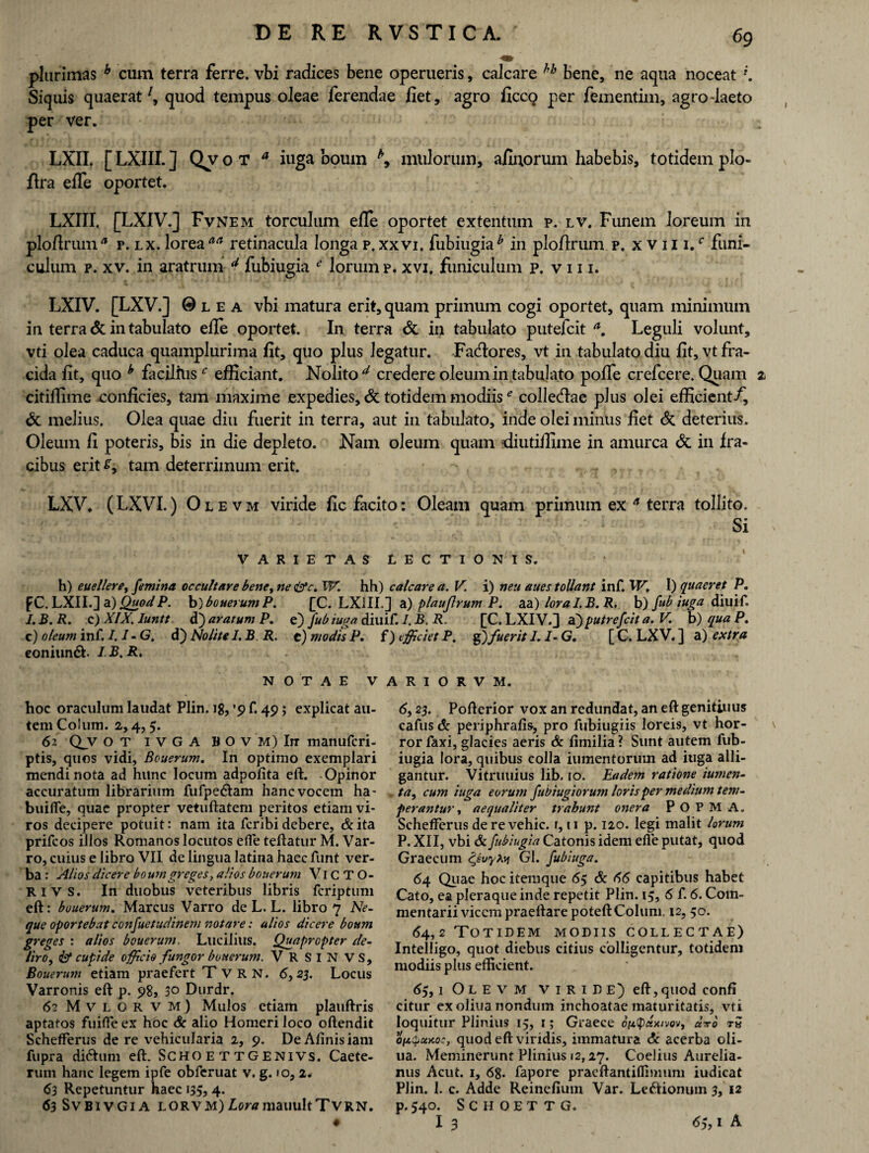 plurimas b cum terra ferre, vbi radices bene operueris, calcare hb bene, ne aqua noceat ;. Siquis quaerat7, quod tempus oleae ferendae fiet, agro ficcQ per fementim, agro-laeto per ver. LXII. [LXIII.] Qvot a iuga boum b> mulorum, afinorum habebis, totidem plo- flra eflfe oportet. LXIU. [LXIV.] Fvnem torculum efle oportet extentum p. lv. Funem loreum in plofiruma p.lx. loreaaa retinacula longa p.xxvi. fubiugiab in ploArum p. xviii/ funi¬ culum p. xv. in aratrum a fubiugia e lorum p. xvi. funiculum p. v 111. LXIV. [LXV.] ©lea vbi matura erit, quam primum cogi oportet, quam minimum in terra & in tabulato efle oportet. In terra & in tabulato putefcit a. Leguli volunt, vti olea caduca quamplurima fit, quo plus legatur. Fadores, vt in tabulato diu fit, vt fra¬ cida fit, quo h faciliusc efficiant. Nolito7 credere oleum in tabulato poflfe crefcere. Quam z citiflime conficies, tam maxime expedies, & totidem modiise collegae plus olei efficient/, & melius. Olea quae diu fuerit in terra, aut in tabulato, inde olei minus fiet & deterius. Oleum fi poteris, bis in die depleto. Nam oleum quam •diutiflime in amurca & in fra¬ cibus erit tam deterrimum erit. LXV. (LXVI.) O l e v m viride fic facito: Oleam quam primum ex * terra tollito. Si VARIETAS LECTIONIS. h) euellerey femina occultare beney ne <&c. W. hh) calcare a. V. i) neu aues tollant inf. W. I) quaeret P. f C. LXII.] a) Quod P. b') bouerum P. [C. LXIII.] a) plauflrum P. aa) loral.B.R. b) fub iuga diuif. J.B.R. z)XlX.Iuntt d) aratum P. e) fub iuga diuif. I. B. R. [C. LXIV.} X)putrefcit a. V. b) qua P. c) oleum inf. /. I - G. d) Nolite I. B. R. e) modis P. f) efficiet P. g)fuerit I. I- G. [ C. LXV. ] a) extra eoniund. IB.R. NOTAE VARIORVM. hoc oraculum laudat Plin. 18, ’9 f. 49; explicat au¬ tem Colum. 2,4,5. 62 Qjv o T 1 v G A B O v M) Iir manufcri- ptis, quos vidi, Bouerum. In optimo exemplari mendi nota ad hunc locum adpofita eft. -Opinor accuratum librarium fufpe&am hanc vocem ha- buifle, quae propter vetuftatem peritos etiam vi¬ ros decipere potuit: nam ita fcribi debere, & ita prifcos illos Romanos locutos elTe teftatur M. Var¬ ro, cuius e libro VII de lingua latina haec funt ver¬ ba: Alios dicere boum greges y alios bouerum Vi C TO¬ RI v s. In duobus veteribus libris fcriptum eft: bouerum. Marcus Varro de L. L. libro 7 Ne¬ que oportebat confuetudinem notare: alios dicere boum greges : alios bouerum, Lucilius. Quapropter de¬ liro , Id cupide officio fungor bouerum. VRSINVS, Bouerum etiam praefert T V R N. 6,23. Locus Varronis eft p. 98, 5o Durdr. 62 M v L o R V M ) Mulos etiam plauftris aptatos fuifle ex hoc & alio Homeri loco oftendit SchefFerus de re vehicularia 2, 9. DeAfinisiam fupra di&um eft. Schoettgenivs. Caete- rum hanc legem ipfe obferuat v. g. 10, 2. 63 Repetuntur haec 135,4. 63 SVBIVGIA LORVM)£0r*mailuItTVRN. 6,23. Pofterior vox an redundat, an eft genitiiius cafus & periphrafis, pro fubiugiis loreis, vt hor¬ ror faxi, glacies aeris & fimilia? Sunt autem fub¬ iugia lora, quibus colla iumentorum ad iuga alli¬ gantur. Vitruuius lib. 10. Eadem ratione iumen- ta, cum iuga eorutn fubiugiorum loris per medium tem¬ perantur , aequaliter trahunt onera P O P M A. SchefFerus derevehic. r, u p. 120. legi malit lorum P. XII, vbi & fubiugia Catonis idem efle putat, quod Graecum ^euyxvi GI. fubiuga. 64 Quae hoc itemque 65 & 66 capitibus habet Cato, ea pleraque inde repetit Plin. 15, 6 f. 6. Com¬ mentarii vicem praeftare poteftColum, 12, 50. <54,2 Totidem modiis collectae) Intelligo, quot diebus citius colligentur, totidem modiis plus efficient. 65,1 O L E v M VIRIDE) eft, quod confi citur ex oliua nondum inchoatae maturitatis, vti loquitur Plinius 15, 13 Graece o^univov, uno tS op&uxo:, quod eft viridis, immatura & acerba oli¬ ua. Meminerunt Plinius 12,27. CoeJius Aurelia¬ nus Acut. 1, 68- fapore praeftantiflimum iudicat Plin. 1. c. Adde Reinefium Var. Lectionum 3, 12 p. 540. S C H O E T T G. 13 6i, 1 A