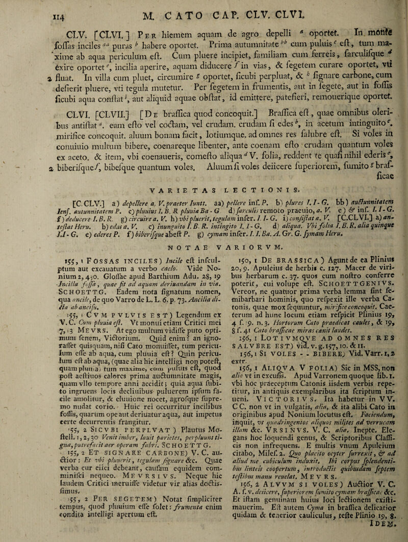 CLV. [CLVI.] Per hiemem aquam de agro depelli a oportet. In foffas inciles aa puras ^ habere oportet. Prima autumnitate ^ cum puluisc eA, tum ma¬ xime ab aqua periculum ed. Cum pluere incipiet, familiam cum ferreis, faiculifque 6xire oportet % incilia aperire, aquam diducere f in vias, <3c fegetem curare oportet, vti a fluat. In villa cum pluet, circumire * oportet, flcubi perpluat, & '■ lignare carbone, cum deflerit pluere, vti tegula mutetur. Per fegetem in frumentis, aut in fegete, aut in follis flcubi aqua conflataut aliquid aquae obdat, id emittere, patefieri, remouerique oportet. CLVI. [CLVII.] [De braflica quod concoquit.] Braflica ed , quae omnibus oleri¬ bus antidata. eam edo vel codam, vel crudam, crudam fi edes*, in acetum intinguitof. mirifice concoquit, aluuin bonam facit, lotiumque. ad omnes res falubre ed. Si voles in conuiuio multum bibere, coenareque libenter, ante coenam edo crudam quantiun voles ex aceto. & item, vbi coenaueris, comedo aliqua ^V. folia, reddent te quafi nihil ederis % a biberifque/, bibefque quantum voles. Aluum fi voles deiicere fuperiorem, fumito^braf- YARIETAS LECTIONIS. [C. CLV.] a) depellere a. V. praeter Iuntt. a a) pellere inf. P. b) plures 1.1 - G. bb) auflunnitatem lenj. autunnitatem P. c) pluuius I. B. R pluuia Ba - G d) far culis remoto praeuio, a. V. e) Itf inf. Ll-G. f) deducere I. B. R. g) circuire a. V. h) vbi pluerit, tegulam infer. J. /- G. i) con/iftat a. V. [C.CLVI.] z)an- tejlat Heru. h) edas a. V. c) inunguito I. B R. intingito I. 1-G. d) aliqua. Vbi folia I. B. R, alia quinque hi- G. e) ederes P. f) biberifque abeft P. g) cymam infer. /. /. Ba. A. Gr. G. fymam Heru« NOTAE VARIORVM. 155, 1 Fossas INCILES) Incile eft infcul- ptum aut excauatum a verbo caelo. Vide No¬ nium 2,4^0. Gloflae apud Barthium Adu. 28, 19 Incilia foffa, quae Jit ad aquam derittandam in via. Schoettg. Eadem nota lignatum nomen, qua ancile, de quo Varro de L. L. 6. p. 73. Ancilia di¬ tia ab anci fu. i C V M pvlvis EST) Legendum ex V.C. Cum pluuia efi. Vt monui etiam Critici mei 7, >3 Mevrs. At ego multum vidiffe puto opti¬ mum fenem, Vi&oriiim. Quid enim? an igno- raffet quisquam, nili Cato monuiflet, tum pericu¬ lum elfe ab aqua, cum pluuia eft ? Quin pericu¬ lum eft ab aqua, (quae alia hic intelligi non poteft, quam pluma y tum maxime, ctim puluis eft, quod poft aeftiuos calores prima auciumnitate magis, quamvllo tempore anni accidit; quia aqua Cubi¬ to ingruens locis declinibus puluerem ipliim fa¬ cile amolitur, & eluuione nocet, agrofque fupre- mo nudat corio. * Huic rei occurritur incilibus follis, quarum ope aut deriuatur aqua, aut impetus certe decurrentis frangitur. '55* 2 Sicvbi FERPLVAT ) Plautus Mo- ftell.i, 2, 30 Venit imber) lauit parietes, perpluunt ti¬ gna, putrefacit aer operam fabri. SCHOETTG. 135,2 ET signare carbone) V.C. au¬ ctior.' Et vbi pluuerit, tegulam (ignare &c. Quae verba cur elici debeant, caufam equidem com- minifei nequeo. Mfvrsi vs. Neque hic laudem Critici meruiffe videtur vir alias dodtis- ftmus. 55, 2 Per segetem) Notat fimplicitef tempus, quod pluuium elfe foletJ frumenta enim condita intelligi apertum eft. 150, 1 De brassica) Agunt de ea Plinius 20, 9. Apuleius de herbis c. 127. Macer de viri¬ bus herbarum c. 37. quos cum noftro conferre poterit, cui volupe eft. Schoet tGen Ivs. Vereor, ne quatuor prima verba lemma fint fe- mibarbari hominis, quo refpexit ille verba Ca¬ tonis, quae mox fequuntur, miri fi'ce concoquit. Cae- terum ad hunc locum etiam refpicit Plinius 19, 4 f, 9. n. 3, Hortorum Cato praedicat caules, <5c 19, 8 f. 41 Cato braffeae miras canit laudes. 156, I Lotivmqve AD OMNES RES SALVBRE EST) vid. V. g. 157,10. & II. 155.1 Si voles - - bibere; Vid.Varr.1,2 extr. 156, i ALIQVA V E OLI A) Sic in MSS,non alia vt in excufis. Apud Varronem quoque Iib. I. vbi hoc praeceptum Catonis iisdem verbis repe¬ titur, in antiquis exemplaribus ita feriptum in- ueni. VictoriVs, Ita habetur in VV. C C. non vt in vulgatis, alia, & ita alibi Cato ia originibus apud Nonium locutus eft. laciendum, inquit, vt quadringentos aliquos milites ad verrucam illam &c. VrSINVS. V. C. alia. Inepte. Ele¬ gans hoc loquendi gentis, & Scriptoribus Galli¬ cis non infrequens. E multis Vnum Apuleium Citabo, Milef. 2. Quo placito ocyter fur rex it, <&* ad aliud me cubiculum induxit, Ibi corpus fplendenti- biis linteis coopertum, introduflis quibusdam feptem t eft ibus manu reuelat. MEVRS. 155.2 ALVvm si voles) Auftior V.C. A. f. v. deiicere, fuperiorem f imito cymam brajficac &c. Et iftam genuinam huius loci Ie&ionem exifti- mauerim. Eft autem Cyma in braflica delicatior quidam & tenerior cauliculus, tefte Plinio 19, 8. IDE2£,