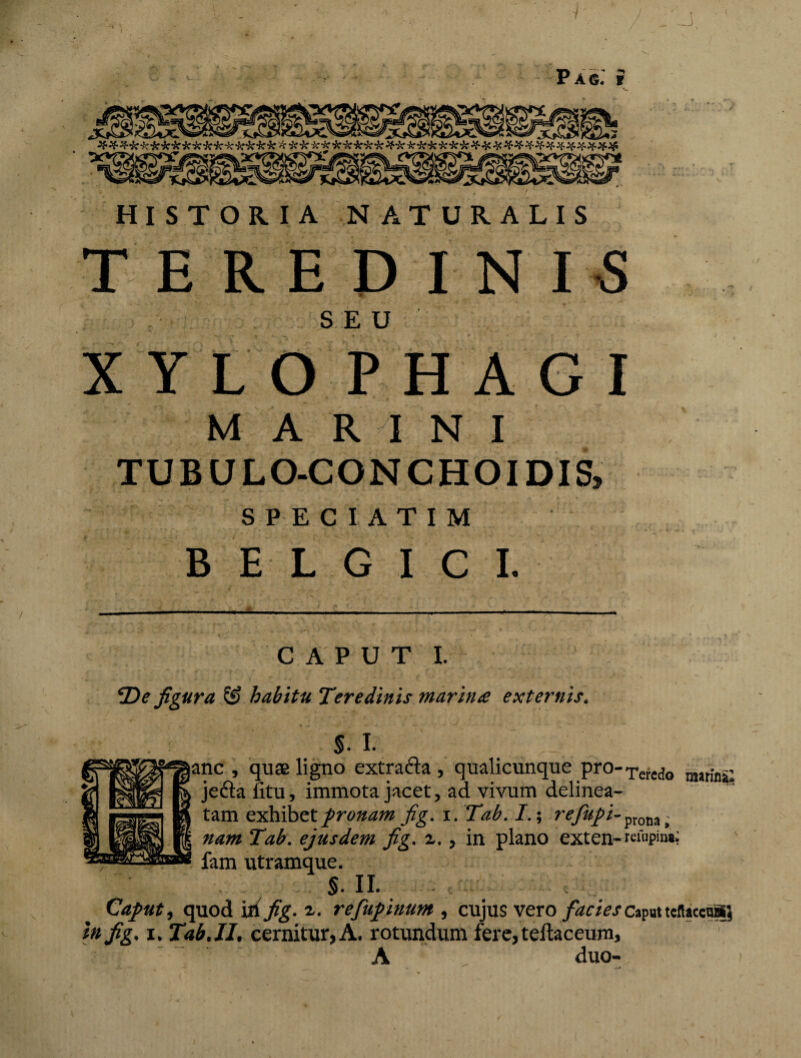 P A 6. i HISTORIA NATURALIS TEREDINIS SEU XYLO PHAGI MARINI TUBULO-CONCHOIDIS, S P E C I A T I M BELGICI. CAPUT I. De figura & habitu Teredinis marina externis. S. I. nc , quae ligno extrafta , qualicunque pro-Tertdo mw!nj, jefta fitu, immota jacet, ad vivum delinea- tam exhibet pronam fig. i. Tab. I.; re/upi-pt0Mi nam Tab. ejusdem fig. ^., in plano exten-reiupm*: fam utramque. %. II. Caput) quod ili fig. 2.. refupinum , cujus vero facies caput teft»ceaS? in fig. 1. Tab. II, cernitur, A. rotundum fere,teftaceum, A duo-L