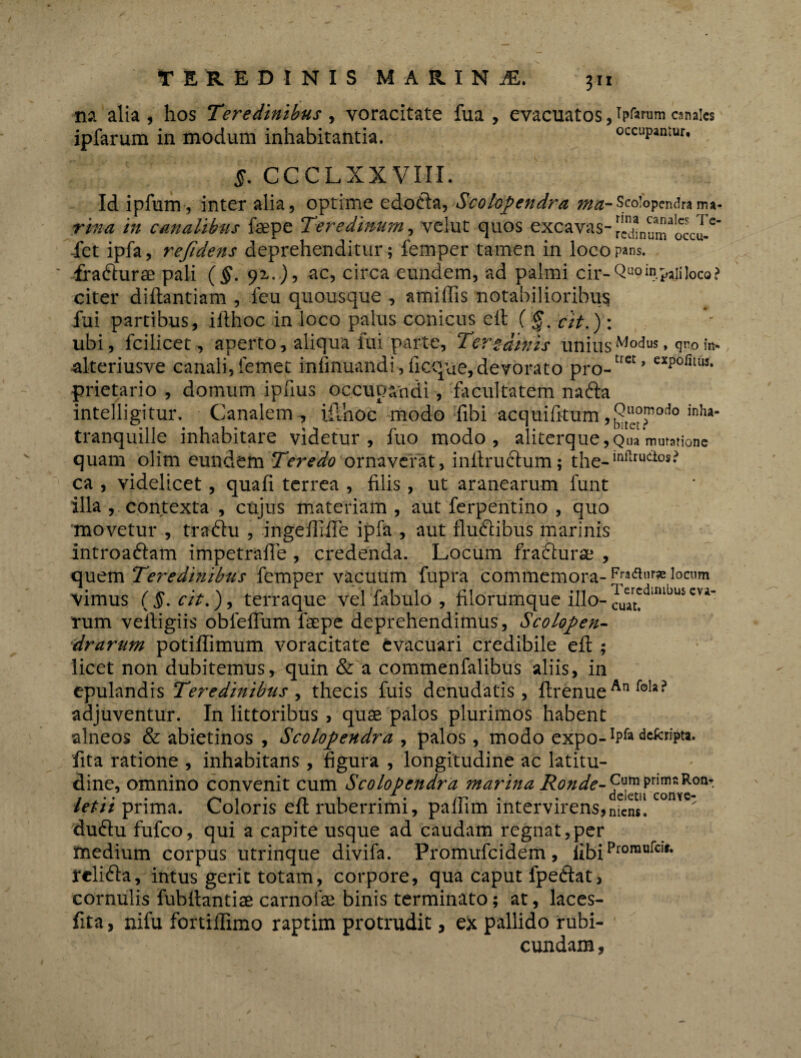 3” m alia , hos Teredinibus , voracitate fua , evacuatos, ipfrrum canales ipfarum in modum inhabitantia. occupamur. §. CCCLXXVIII. Id ipfum, inter alia, optime edodla, Scolopendra met-Scolopendra ma- rina in canalibus faepe Teredinum, velut quos excavas- ^dinu^occu^ fct ipfa, refidens deprehenditur; femper tamen in loeopans. fra&urse pali (§. 92.. ), nc, circa eundem, ad palmi cir-Quoin.paiiloca? citer diftantiam , ieu quousque , amiffis notabilioribus fui partibus, ifthoc in loco palus conicus eft C f. cit.): ubi, fcilicet, aperto, aliqua fui parte, Tertdinis uniusModus • q«o in. alteriusve canali, femet infirmandi, ficipue,devorato pro-trct’ e*P°fitU!> prietario , domum ipfius occupandi , facultatem nafta intelligitur. Canalem , iilnoe modo Tibi acquibtum ,^!l'°Jnodo inha‘ tranquille inhabitare videtur , fuo modo , aliterque , Qua mutatione quam olim eundem Teredo ornaverat, inftrudum; the-inftru<afs* ca , videlicet, quafi terrea , filis, ut aranearum funt illa , contexta , cujus materiam , aut ferpentino , quo movetur , tradu , ingeflliTe ipfa , aut fludibus marinis introadam impetraffe , credenda. Locum fradurse , quem Teredinibus femper vacuum fupra commemora- Fra<a»r* locum vimus ( §. cit.), terraque vel fabulo , filorumque illo- CVA’ rum velligiis obfeffum faepe deprehendimus, Scolopen- drarum potiflimum voracitate evacuari credibile eft ; licet non dubitemus, quin & a commenfalibus aliis, in epulandis Teredinibus , thecis fuis denudatis, ftrenueAn foIai> adjuventur. In littoribus , quae palos plurimos habent alneos & abietinos , Scolopendra , palos, modo expo-ripk defcripta. fita ratione , inhabitans , figura , longitudine ac latitu¬ dine, omnino convenit cum Scolopendra marina Ronde-^«mprimaRon- tetit prima. Coloris eft ruberrimi, paiiim intervirens, niens. dudu fufeo, qui a capite usque ad caudam regnat,per medium corpus utrinque divifa. Promufcidem, libiProraarcif* relida, intus gerit totam, corpore, qua caput fpedat, cornulis fubftantiae carnofae binis terminato; at, laces- fita, nifu fortiflimo raptim protrudit, ex pallido rubi¬ cundam,