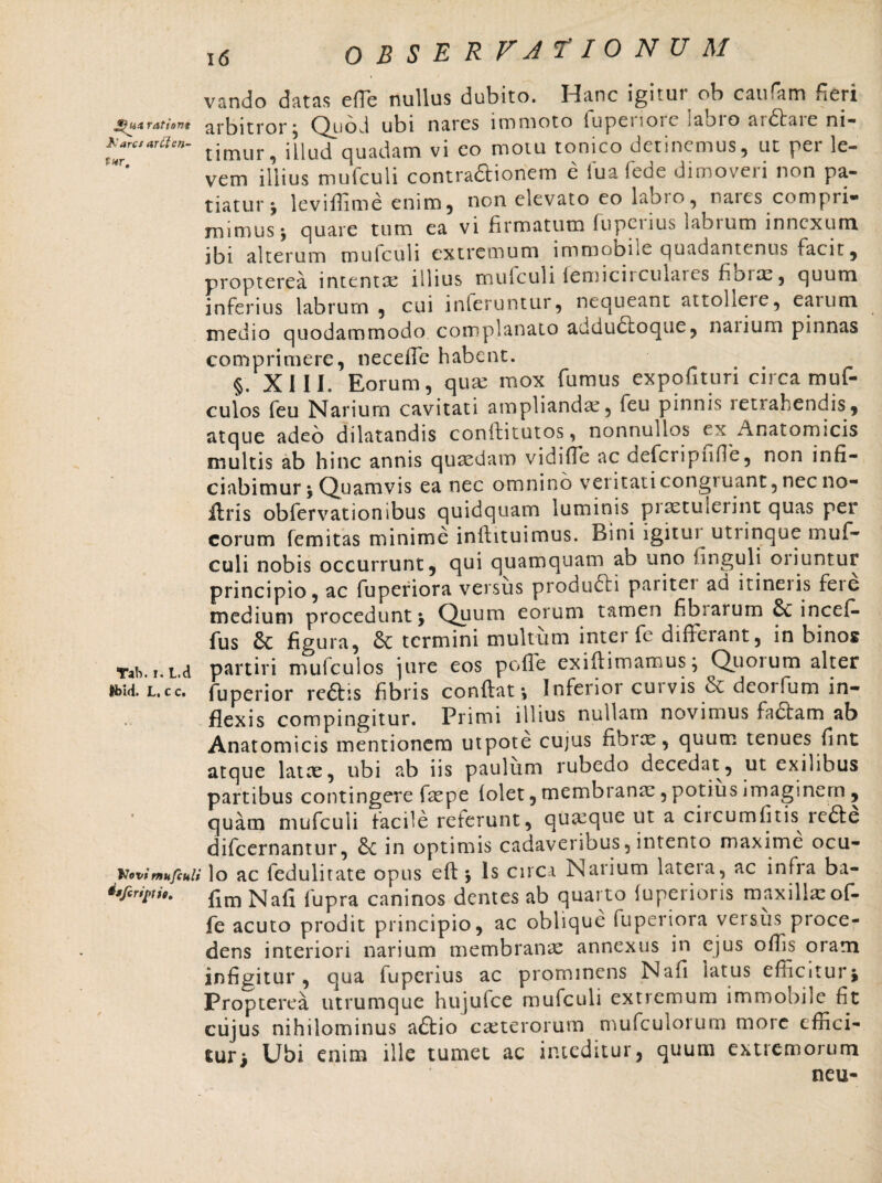 vando datas effe nullus dubito. Hanc igitur ob caufam Heri jtfmtrationt arbitror j (^j.iod ubi nares immoto lupeitoie <ajio aidtaic ni— XarcsarCtcn- t[muY, }[luci quadam vi eo motu tonico detinemus, ut per le¬ vem illius mufculi contra&ionem e fu a fede dimoveri non pa¬ tiatur $ leviffime enim, non elevato eo labio, naies compri- rmmus \ quare tum ea vi firmatum fupeiius labium innexum ibi alterum mulculi extremum immobiie ejuadantenus facit, propterea intentae illius mufculi iemicirculaies foim, quum inferius labrum , cui inferuntur, nequeant attolieie, eaium medio quodammodo complanato addudioque, nanum pinnas comprimere, neceffe habent. §. XIII. Eorum, qua: mox fumus expofituri circa muf- culos feu Narium cavitati ampliandae, feu pinnis leuabendis, atque adeo dilatandis conifitutos, nonnullos ex Anatomicis multis ab hinc annis quaedam vidiffe ac deficripiiffe, non infi- ciabimur \ Quamvis ea nec omnino veritati congiuant, nec no- Uris obfervationibus quidquam luminis piaetulerint quas per eorum femitas minime inii itu i mus. Bini igitui uti inque muf¬ culi nobis occurrunt, qui quamquam ab uno finguli oriuntur principio, ac fuperiora versus produdfi paritet ad itineiis fere medium procedunt j Quum eorum tamen fibsarum Se incef- fus & figura, St termini multum inter fe differant, in binos Tat». i.L.d partiri mufculos jure eos polle exifl imamus; Quoium alter &bid. l.cc. fu perior rcSris fibris conflat \ Infenot cuivis Sv deoifum in¬ flexis compingitur. Primi illius nullam novimus ficfam ab Anatomicis mentionem utpote cujus fibrae, quum tenues fint atque latae, ubi ab iis paulum rubedo decedat, ut exilibus partibus contingere faepe folet, membranae, potius imaginem , quam mufculi facile referunt, quseque ut a circumfinis redte difeernantur, Se in optimis cadaveribus,intento maxime ocu- Vovimufculi lo ac fedulitate opus eft * ls Circa Narium latera, ac infra ba- fim Nafi fupra caninos dentes ab quarto fuperioris maxillae of- fe acuto prodit principio, ac oblique fuperiora veisus proce¬ dens interiori narium membranae annexus in ejus offis oram infigitur, qua fuperius ac prominens Nafi iatus efficitur* Propterea utrumque hujufce mufculi extremum immobile fit ciijus nihilominus aftio caeterorum mufculorum more effici¬ tur * Ubi enim ille tumet ac inceditur, quum extremorum neu-