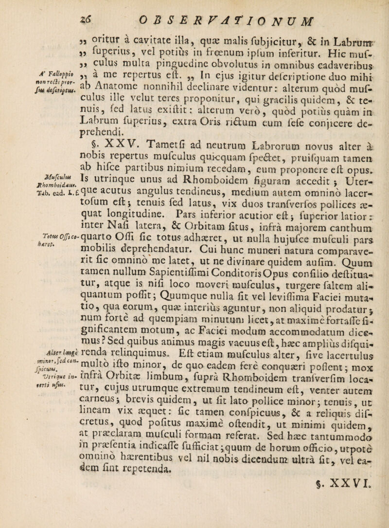 33 oritar a cavitate illa5 qux malis fubjicitur, & in Labrum 3, fuperius, vel potius in froenum iplum inferitur. Hic muf- culus multa pinguedine obvolutus in omnibus cadaveribus nonreth^ror 55 ^ me rePcrtus e^* 35 Li ejus igitur deferiptiooe duo mihi fm(kfin/tL. Anatome nonnihil declinare videntur: alterum quod muf¬ culus ille velut teres proponitur, qui gracilis quidem, & te¬ nuis, fed latus exifiit: alterum vero, quod potius quam in Labrum fuperius, extra Oris n&um eum fefe conjicere de¬ prehendi. §. XXV. Tametfi ad neutrum Labrorum novus alter & nobis repertus mufculus quicquam fpe&et, pruifquam tamen ab hifce partibus nimium recedam, eum proponere elt opus, mS^maL ls utrinclue unus Rhomboidem figuram accedit > Uter- Tab. ead. f.°1ue acutus angulus tendineus, medium autem omnino laccr- tofum e 11 \ tenuis fed latus, vix duos tranfverfos pollices te- quat longitudine. Pars inferior acutior efi; 5 fuperior latior r inter Nafi latera, 8c Orbitam fitus, infra majorem canthum °Jf*c°-quarto Offi fic totus adhaeret, ut nulla hujufce mufculi pars mobilis deprehendatur. Cui hunc muneri natura comparave¬ rit fic omnino me latet, ut ne divinare quidem aufim. Quum tamen nullum Sapientiffimi Conditoris Opus confilio deftitua- tur, atque is nifi loco moveri mufculus, turgere faltem ali¬ quantum poffit; Quumque nulia fit vel levifiima Faciei rnuta- tio, qua eorum, quae interius aguntur, non aliquid prodatur5 num forte ad quempiam minutum licet, at maximeforraffefi* gnificantem motum, ac Faciei modum accommodatum dice¬ mus? Sed quibus animus magis vacuuseft,haec amplius difqui- Aherhn*J renda relinquimus. Eft etiam mufculus alter, five lacertulus fplZminor3 de quo eadem fere eonquasri pollent; mox Vtrique in• infra Orbitas limbum, fupra Rhomboidem tranfverfim loca- J 3 cujus utrumque extremum tendineum eil, venter autem carneus; brevis quidem, ut iit lato pollice minor; tenuis, ut lineam vix aequet: fic tamen confjpicuus, Sc a reliquis dif- cretus, quod pofitus maxime oftendit, ut minimi quidem, at praeclaram mufculi formam referat. Sed haec tantummodo in praefentia indicafie fufficiat ;quum de horum officio, utpote omnino haerentibus vel nil nobis dicendum ultra fit, vel ea¬ dem fiat repetenda. §. XXVI,