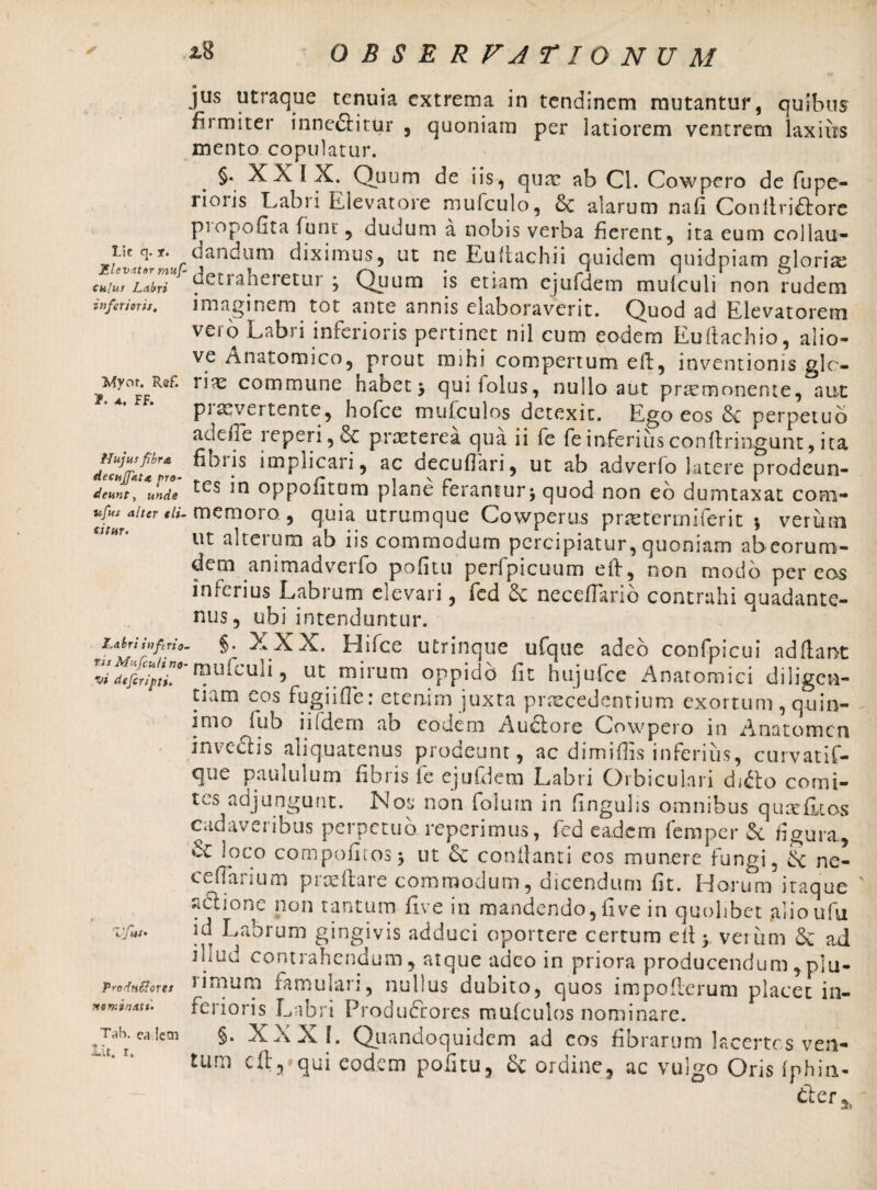 jus utraque tenuia extrema in tendinem mutantur, quibus firmiter innectitur , quoniam per latiorem ventrem laxius mento copulatur. §. XXIX. Quum de iis, qum ab Cl. Cowpero de fupe- rioris Labri Elevatore mufculo, & alarum nafi Conilriftorc piopofita funt, dudum a nobis verba fierent, ita eum collau- dandum diximus, ut ne Eultachii quidem quidpiam gloria; tuiui Lahl detraheretur; Quum is etiam ejufdem mulculi non rudem tnferioris, imaginem tot ante annis elaboraverit. Quod ad Elevatorem vero Labri inferioris pertinet nil cum eodem Euftachio, alio- ve /inatomico, prout mini compertum eft, inventionis glo- commune habet* quifolus, nullo aut prremonente, aut praeverrente, hofce mufculos detexit. Ego eos & perpetuo adede reperi, 6c praeterea qua ii fe fe inferius conflringunt, ita dZtrluZ. fibr.is imPlicari> ac decuflari, ut ab adverfo latere prodeun- Jeunt, unde tes in °ppoiitom plane ferantur* quod non eo dumtaxat com- *!»s aitcr tu- memoro, quia utrumque Cowperus prsetermiferit * verum ut alterum ab iis commodum percipiatur, quoniam abeoruro- dem animadverfo pofitu perfpicuum efl:, non modo per eos inferius Labrum elevari, fed & neceflario contrahi quadante- nus, ubi intenduntur. LMhfrio. §. XXX. Hifce utrinque ufque adeo confpicui adfiant * naufLuli 9 ut mirum oppido fit hujufce Anatomici diligen¬ tiam eos fugi i fle: etenim juxta praecedentium exortum , quin- imo fub i udem ab eodem AuClore Cowpero in Anatomcn inveclis aliquatenus prodeunt, ac dimiflis inferius, curvatif- que paululum fibris fe ejufdem Labri Orbiculari di&o comi¬ tes adjungunt. Nos non folutn in fingulis omnibus quae fit os cadaveribus perpetuo reperimus, fed eadem femper & figura, ce Joco compofitos* ut 6e conflanti eos munere fungi, Sc ne- ceflarium praedare commodum, dicendum fit. Horum itaque actione non tantum five in mandendo, fi ve in quolibet alioufu n/Us. id Labrum gingivis adduci oportere certum efl * verum &; ad iiiud contrahendum, atque adeo in priora producendum ,p!u- vrodnttorts Lmum famulari, nullus dubito, quos impoflerum placet in- ferioris Lnbri Produftores mufculos nominare. ^Tah. eaicm §. XXXI. Quandoquidem ad cos fibrarum lacertos ven- tum cil,» qui eodem pofitu, & ordine, ac vulgo Oris Iphiti-