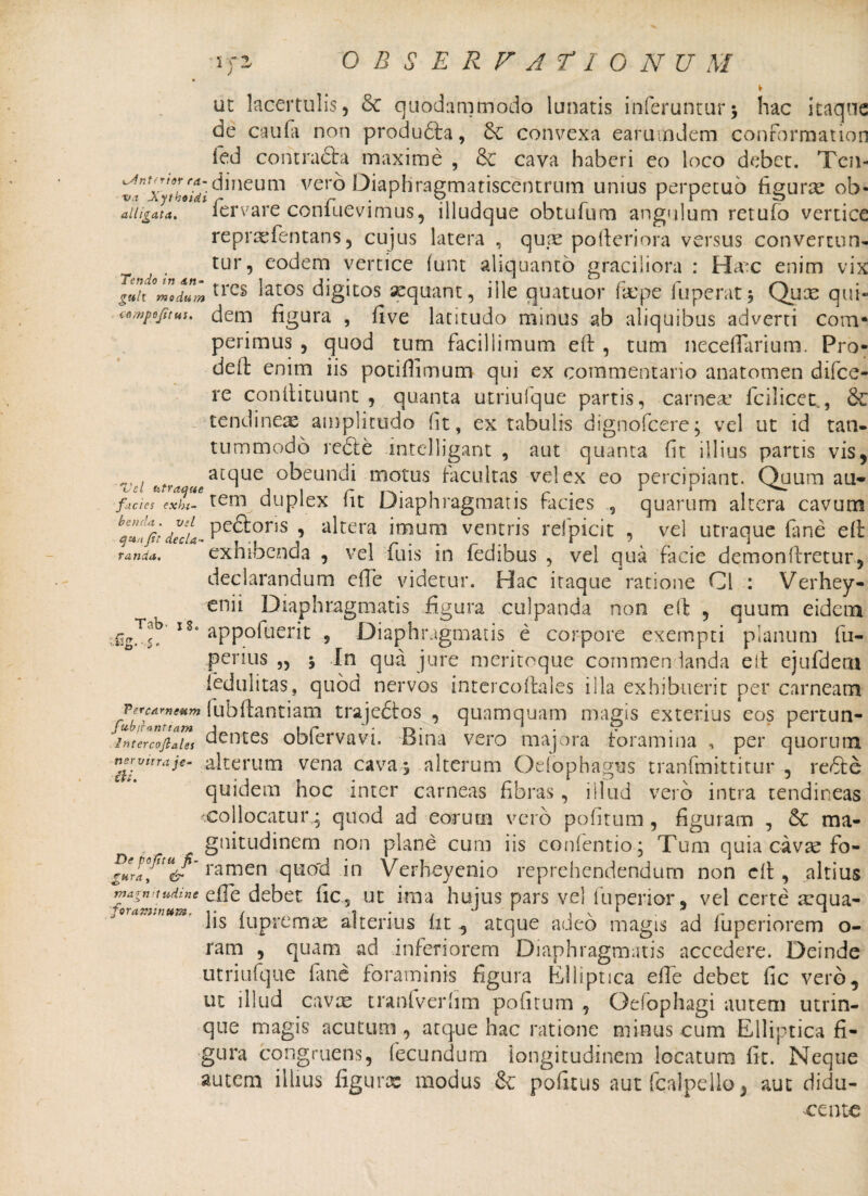 \ ut lacertulis, 6c quodammodo lunatis inferuntur\ hac itaque de caufa non produdta, convexa earumdem conformation fed contracta maxime , & cava haberi eo loco debet. Ten- V • V . 'v^xThtui^ *neum ver° t)iaphragmatiscentrum unius perpetuo figurae ob- , i ■ ' J t tOiri n-i . ^ _ _ 1 _ . . _ r _ . * _ _ alligata, fervare confuevimus, illudque obtufum angulum retufo vertice repraefentans, cujus latera , qux pofieriora versus convertun¬ tur, eodem vertice (unt aliquanto graciliora : Hax enim vix guit °modum trGS ^at0S digitos sequant, ille quatuor fiepe fuperat Qux qui- compojitHs. dem figura , five latitudo minus ab aliquibus adverti com* perimus , quod tum facillimum eft , tum necefiarium. Pro- deit enim iis potifiimum qui ex commentario anatomen difee- re conllituunt , quanta utriufque partis, carnex fcilicet., 6c tendinex amplitudo (it, ex tabulis dignofeere; vel ut id tan¬ tummodo re£ie mtelligant , aut quanta fit illius partis vis, atque obeundi motus facultas vel ex eo percipiant. Quum au- Zel htraaue J i r i r • r J facies exbt- tem duplex iit Diaphragmatis facies , quarum altera cavum ^Z!}idecL Pe<^ons ^ altera imum ventris refpicit , vel utraque fane efi randa, Tab' i8 tiig. • S. exhibenda , vel filis in fedibus , vel qua facie demonflretur, declarandum efie videtur. Hac itaque ratione 01 : Verhey- enii Diaphragmatis figura culpanda non e 11 , quum eidem appofuerit 5 Diaphragmatis e corpore exempti planum fu- perius „ j In qua jure meritoque commendanda elt ejufdem fedulitas, quod nervos [ntcrcoftales illa exhibuerit per carneam carneum fubftantiam trajedtos , quamquam magis exterius cos pertun- intercoftlTes dentes obfervavi. Bina vero majora foramina , per quorum neruirra je- alterum vena cava j alterum Oelophag^s tranfmittitur , re6te quidem hoc inter carneas fibras, illud vero intra tendineas 'Collocatur^ quod ad eorum vero politum , figuram , & ma¬ gnitudinem non plane cum iis conlentio; Tum quia cavae fo- ?urlf!U&' tamen quod in Verheyenio reprehendendum non elt, altius magnitudine efie debet fic 5 ut ima hujus pars vel fu perior, vel certe xqua- lis luprtmx alterius iit , atque adeo magis ad fupenorem o- ram , quam ad inferiorem Diaphragmatis accedere. Deinde utriufque fine foraminis figura Elliptica efie debet fic vero, ut illud cavx tranfverhm politum , Oefophagi autem utrin- que magis acutum , atque hac ratione minus cum Elliptica fi¬ gura congruens, fecundum 'longitudinem locatum fit. Neque autem illius figurae modus & pofltus aut fcalpello, aut didu¬ cente