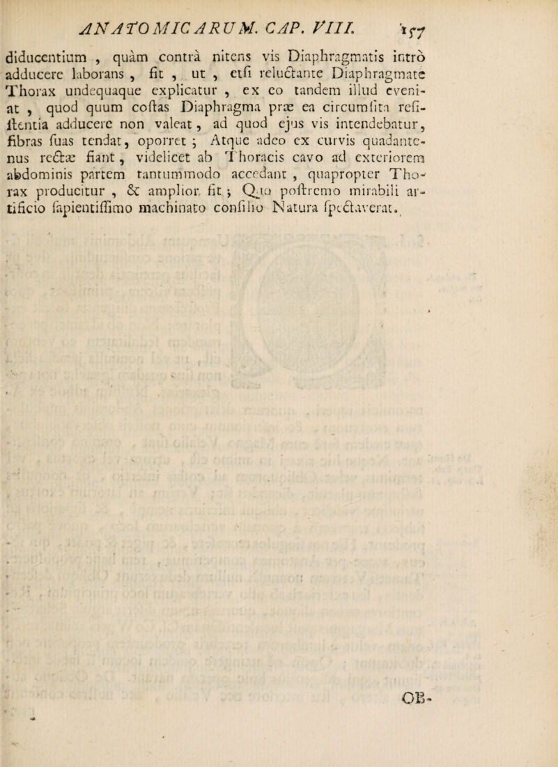 diducentium , quam contra nitens vis Diaphragmatis intro adducere laborans , fit , ut , etfi reluctante Diaphragmate Thorax undequaque explicatur , ex co tandem illud eveni¬ at , quod quum coftas Diaphragma pree ea circumlita refi- ilentia adducere non valeat, ad quod ejus vis intendebatur, fibras fuas tendat, oporret ; Atque adeo cx curvis quadante- nus redfcse fiant, videlicet ab Thoracis cavo ad exteriorem abdominis partem tantummodo accedant , quapropter Tho¬ rax producitur , Se amplior fit •, Qjo poftrcmo mirabili ar¬ tificio (hpientiffimo machinato confiho Natura (pedaverat.