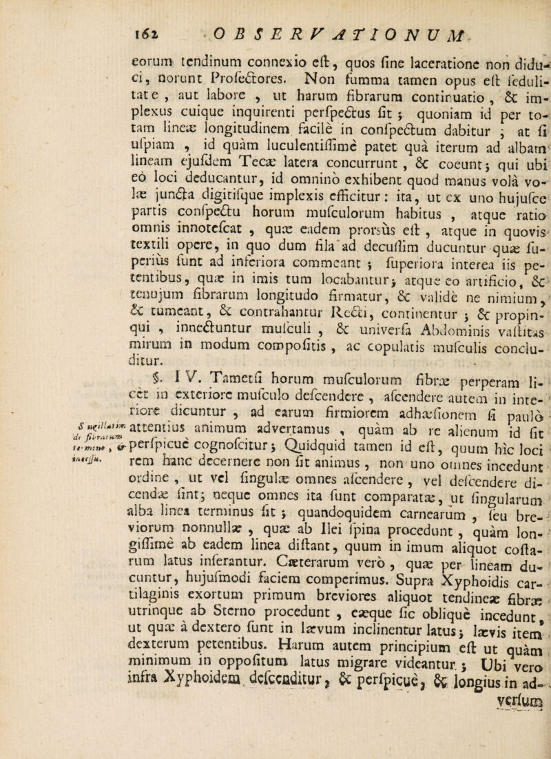 161 O B SERVATIONUM- eorum tendinum connexio eft, quos fine laceratione non didu¬ ci, norunt Pro fe£t ores. Non fumma tamen opus efi feduli- tate , aut labore , ut harum fibrarum continuatio, & im¬ plexus cuique inquirenti perfpedtus fit y quoniam id per to¬ tam lineae longitudinem facile in confpe&um dabitur ; at fi ufpiam , id quam luculcntiffime patet qua iterum ad albam lineam ejufdem Tecx latera concurrunt, Sc coeunt5 qui ubi eo loci deducantur, id omnino exhibent quod manus vola vo¬ lae jun£h digitifque implexis efficitur: ita, ut ex uno hujufce partis confpe&u horum mufculorum habitus , atque ratio omnis innotefeat , qux eadem prorsus efi , atque in quovis textili opere, in quo dum fila ad decuffim ducuntur quae fiu- periiis funt ad inferiora commeant \ fuperiora interea iis pe¬ tentibus, qux in imis tum locabantur> atque eo artificio, tenujum fibrarum longitudo firmatur, 8c valide ne nimiumy &C tumeant, & contrahantur Redi, continentur * & propin¬ qui , inne&untur muiculi , Sc univerfa Abdominis vaftitas mirum in modum compofitis , ac copulatis mufculis conclu¬ ditur. §. IV. Tametfi horum mufculorum fibrx perperam li¬ cet i» exteriore mufculo defeendere , afeendere autem in inte¬ riore dicuntur , ad earum firmiorem adhxfioncm fi paulo * ST altemiu\ animum advertamus , quam ab re alienum id fit , «^perfpicue cognolbitur j C^uidquid tamen id efi, quum hic loci rem hanc decernere non fit animus, non uno omnes incedunt ordine , ut vel fingulx omnes afeendere , vel defeendere di¬ cendas fint; neque omnes ita funt comparatx, ut lingularum alba linea terminus fit 5 quandoquidem carnearum , leu bre-; viorum nonnulla: , qux ab Ilei fpina procedunt , quam Ion- - giffirne ab eadem linea diftant, quum in imum aliquot colla¬ rum latus inferantur. Cxterarum vero , qux per lineam du¬ cuntur , hujufmodi faciem compcrimus. Supra Xyphoidis car¬ tilaginis exortum primum breviores aliquot tendinex fibrx utrinque ab Sterno procedunt , exque fic oblique incedunt# ut qux adextero funt in Ixvum inclinentur latus > Ixvis item dexterum petentibus. Harum autem principium efi ut quam minimum in oppofitum latus migrare videantur. 5 Ubi vero infra Xyphoidcm. dcfccaditur, & perfpicue3 & longius in ad- . ycrlum