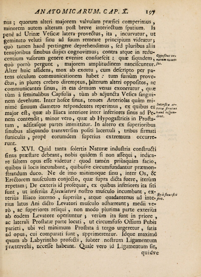 *9f nus ; quorum alteri majorem valvulam profici comperimus , minorem autem alteram pod breve interie&um fpatium. Is pene ad Urinae Veficx latera prove&us, ita , incurvatur, ut geminato veluti finu ad fuum remeare principium videatur ; quo tamen haud pertingere deprehendimus , fed pluribus aliis tenujoribus finubus disjici cognovimus* contra atque in redu¬ centium vaforum genere evenire confuefcit quae fiquidem, quo porro pergunt , majorem amplitudinem nancifcuntur.^'- Alter huic allidens, mox ab exortu , cum defcripto per pa¬ tens ofculum communicationem habet .* tum fursum prove- £bus, in plures crebro diremptus, [alterum alteri oppofitos, ac communicantes finus, in eas demum venas exoneratur, qu<c tum a feminalibus Capfulis , tum ab adjunda Vefica fangui- nem devehunt. Inter hofce finus, tenues Arteriolas quam mi¬ nime finuum diametro rdpondentes reperimus , ex quibus ea major ed, quae ab Iliaca interiore inter inferiores finus ad Pe-haud nem contendit; minor vero, quae ab Hypogadricis in Profta-^”'* adfitafque partes immittitur. In altero ex fuperioribus tam finubus aliquando transverfim pofiti lacertuli , tribus firmati funiculis , prope eorumdem fuperius extremum occurre¬ runt. §. XVI. Quid tanta folertis Naturae indudria condrudi finus praedare debeant, nobis quidem fi non afiequi , indica¬ re faltem opus ede videtur : quod tamen priusquam facio, quibus ii locis incumbant, quibufve circumfundantur praemon- drandum duco. Ne de imo minimoque finu , inter Os, Eredorem mufculum conjedo, quse fupra dida fuere, iterum repetam; De caeteris id profequar, ex quibus inferiores ita fiti funt , ut inferius Ejaculatori nodro mufculo incumbant , ex- ^ „, terius Iliaco interno , luperius , atque quadantenus ad inte- rius latus Ani dicio Levatori mufculo adhaereant; medii ve¬ ro , ac fuperiores reliqui , non modo plurima parte exterius ab eodem Levatore operiuntur ; verum ita funt in priore , ac laterali Prodatae parte locati , ut circumfufo Odium Pubis parieti, ubi vel minimum Prodata a tergo urgeretur , fatis ad opus, cui comparati funt, apprimeremur. Idque maxime quum ab Labyrintho profedi , fubter nodrum Ligamentum prtetervshi, necefie habeant. Quale vero id Ligamentum fit, quidve