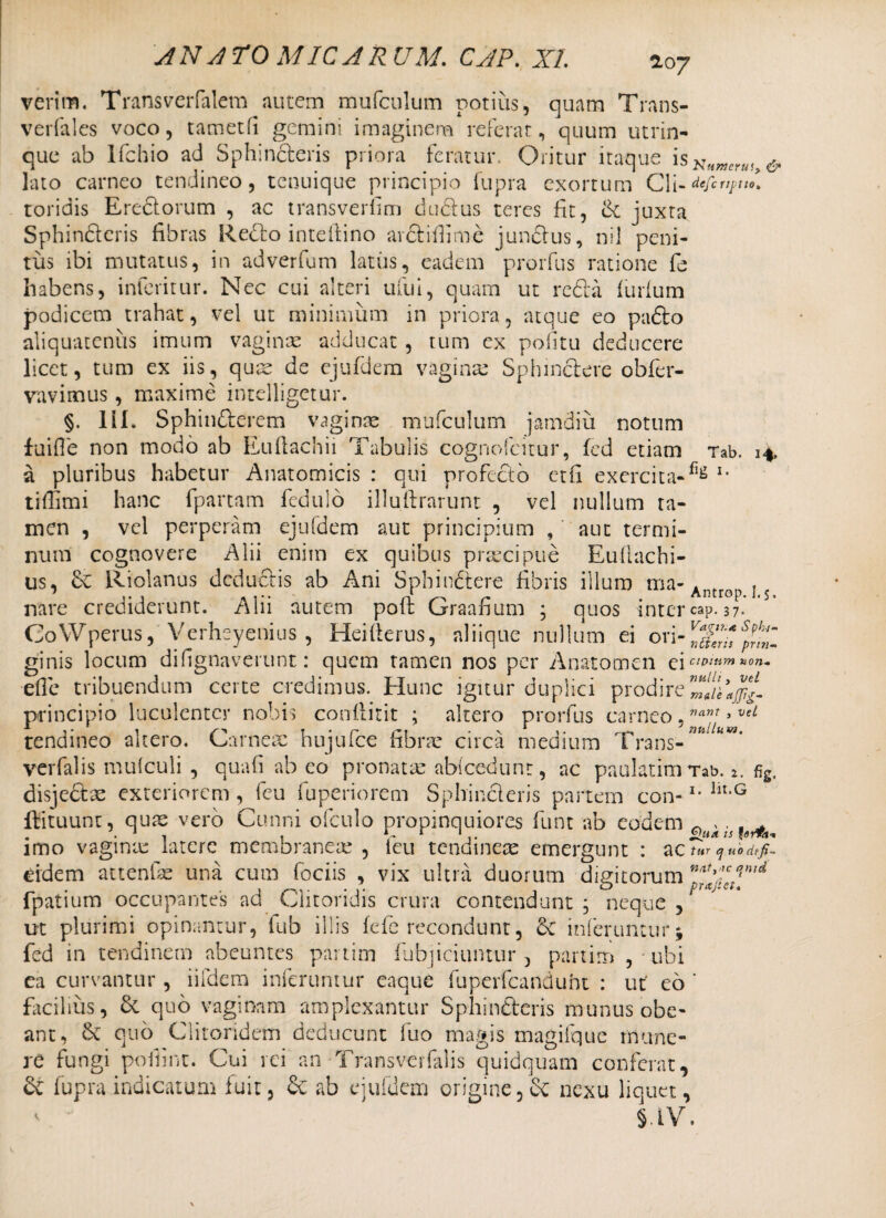 verim. Transverfalem autem mufculum potius, quam Trans- verfales voco, tametfi gemini imaginem referat, quum utrin- que ab lfchio ad Sphincteris priora feratur. Oritur itaque isNftMeru{>& lato carneo tendineo, tenuique principio fupra exortum Cii- defcnptto, roridis Eredorum , ac transverfim dudus teres fit, Se juxta Sphinderis fibras Redo inteftino avdifiirtie jundus, nil peni¬ tus ibi mutatus, in adverfum latus, eadem prorfus ratione fe habens, inferirur. Nec cui alteri ufui, quam ut reda furfum podicem trahat, vel ut minimum in priora, atque eo pado aliquatenus imum vaginas adducat , tum ex politu deducere licet, tum ex iis, quae de ejufdem vaginas Sphindere obfer- vavimus, maxime intelligetur. §. 11L Sphinderem vaginae mufculum jamdiu notum fuifie non modo ab Euftachii Tabulis cognofcitur, fed etiam Tab. 14. a pluribus habetur Anatomicis : qui profedb et fi exercita- H 1. tillimi hanc fpartam fedulo illuftrarunt , vel nullum ta¬ men , vel perperam ejufdem aut principium , aut termi¬ num cognovere Alii enim ex quibus prmcipue Euflachi- us, & Riolanus dcdudis ab Ani Sphindere fibris illum tna-Ant j s nare crediderunt. Alii autem poffc Graafium ; quos inter cap. 37- CoWperus, Verheyenius , Heifterus, aliique nullum ei ori-^f^I ginis locum difignaverunt: quem tamen nos per Anatomen ci aptum non- efle tribuendum certe credimus. Hunc igitur duplici prodire principio luculenter nobis conflitit ; altero prorfus carneo 5**”r »veL tendineo altero. Carneae hujufce fibrm circa medium Trans- ^ verfalis mufculi , quafi ab eo pronatas abicedunt, ac paulatim Tab. i. fig. disjedae exteriorem, feu fuperiorem Sphinderis partem con-lm lit,G flituunt, qum vero Cunni ofculo propinquiores funt ab eodem 0ll^is^a imo vaginm latere membraneae , feu tendinem emergunt : zc7»r ^ubd?/~ eidem attenfas una cum fociis , vix ultra duorum digitorum fpatium occupantes ad Clitoridis crura contendunt , neque , * ut plurimi opinantur, fub illis fefe recondunt, Se inferuntur; fed in tendinem abeuntes partim fubjiciuntur , partitu , ubi ea curvantur , iifdem inferuntur caque fuperfcanduht : ut' eo ' facilius, Se quo vaginam amplexantur Sphinderis munus obe¬ ant, Se quo Clitoridem deducunt fuo magis magifque mune¬ re fungi pofnnt. Cui rei an Transverfalis quidquam conferat, Se fupra indicatum fuit. Se ab ejufdem origine. Se nexu liquet, < '  5.1V.