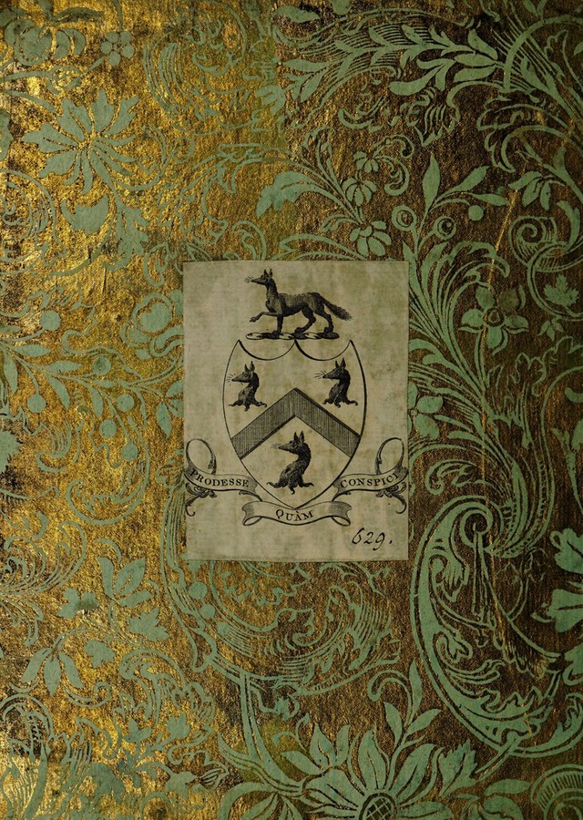 No text description is available for this image