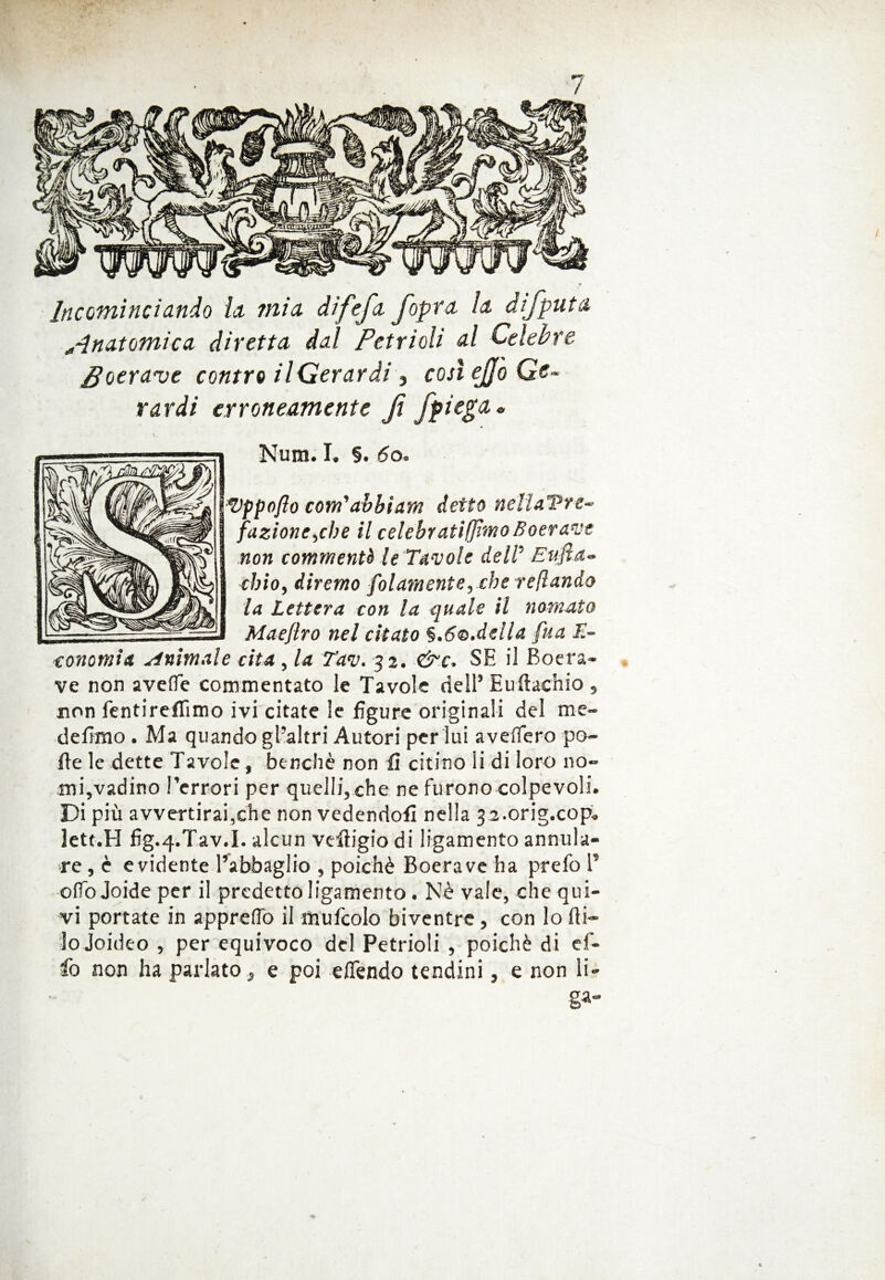 Incominciando la. mia difefa fopra la difputa Anatomica diretta dal Petti oli al Celebre Poerave contro ilGerardi, così ejjo Gi¬ rardi erroneamente fi /piega» Num. I. §. 60. Vppofto com'abbiam detto nellaTre- fazione,che il celebratiffìmoBoerave non commentò le Tavole dell’ Enfia» cbio, diremo piamente, che refi andò la Lettera con la quale il nomato Mae/iro nel citato §.6®.della fua F.~ conomia minimale cita , la Tav. 32. &c, SE il Boera- ve non avelfe commentato le Tavole dell’ Euftachio , non fentireffimo ivi citate le figure originali del me- defimo . Ma quando gl’altri Autori per lui avellerò po¬ lle le dette Tavole, benché non fi citino li di loro no¬ mi,vadino Terrori per quelli, che ne furono colpevoli. Di più avvertirai,che non vedendoli nella 3 2.orig.cop. lett.H fig.4.Tav.I. alcun vefligio di ligamento annui¬ re , è evidente l’abbaglio , poiché Boera ve ha prefo l’ oflojoideper il predetto ligamento. Nè vale, che qui¬ vi portate in apprefib il mufcolo biventre, con lo fli- lojoideo , per equivoco del Petrioli , poiché di ef- fo non ha parlato , e poi effendo tendini, e non li- ga-