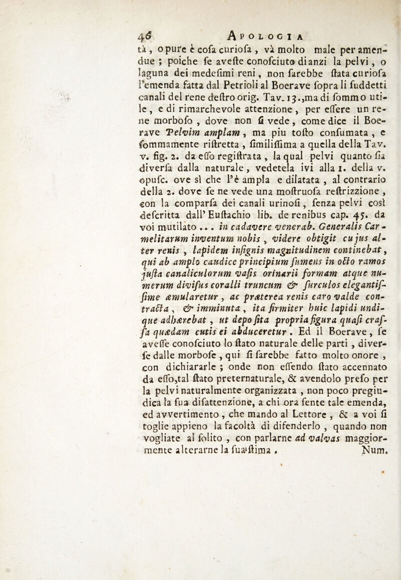 tà , o pure e cofa curiofa , va molto male per amen- due ; poiché fé avelie conofciuto dianzi la pelvi, o laguna dei medelimi reni, non farebbe Hata curiofa l'emenda fatta dal Petrioli al Boerave fopra li fuddetti canali del rene deliro orig. Tav. ij.jtna di fommo uti¬ le , e di rimarchevole attenzione , per eifere un re¬ ne morbofo , dove non fi vede, come dice il Boe¬ rave Telvim amplam, ma piu tollo confumata , e fcmmamente rillretta , fimililfima a quella della Tav. v. fig. 2. da effo regillrata , la qual pelvi quanto Ila diverfa dalla naturale, vedetela ivi aliai, della v. opufe. ove si che l’è ampia e dilatata , al contrario della 2. dove fe ne vede una mollruofa rellrizzione , con la comparfa dei canali urinofi, fenza pelvi così deferitta dall’ Euftachio lib. de renibus cap. 45. da voi mutilato ... in cadavere verter ab. Generalis Car- :melitarum inventum nobis , videre obtigit cujus al¬ ter renis , lapidem infignis magnitudinem continebat, qui ab ampio caudice principium fumens in otto ramos jufla canaliculorum vafis orinarli formam atque nu- merum divifus coralli truncum & furculos elegantif- fìme cemularetur , ac pratcrea renis caro valde con¬ tratta , & imminuta , ita firmiter buie lapidi undi- que adb.erebat, ut depoftta propria figura quafi cr af¬ fa quxdam cutis ei abduceretur . Ed il Boerave , le aveffe conofciuto lo flato naturale delle parti , diver- fe dalle morbofe , qui fi farebbe fatto molto onore , con dichiararle ; onde non eflendo flato accennato da effo,tal flato preternaturale, & avendolo prefo per la pelvi naturalmente organizzata , non poco pregiu¬ dica la fua difattenzione, a chi ora fente tale emenda, ed avvertimento , che mando al Lettore , & a voi fi toglie appieno la facoltà di difenderlo , quando non vogliate al folito , con parlarne ad valvas maggior¬ mente alterarne la fua'flima . Num,