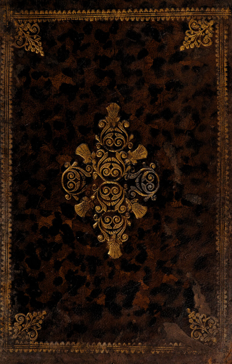 fev ife Ai tyit'W *r?v ir v