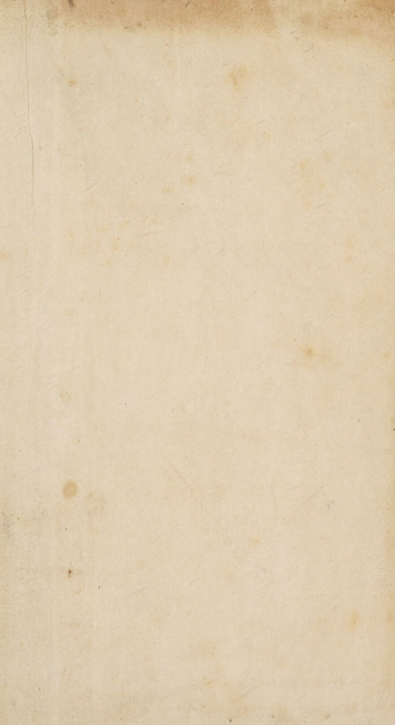 y • - ■ v . • ■ * ' J ■ ,■ .