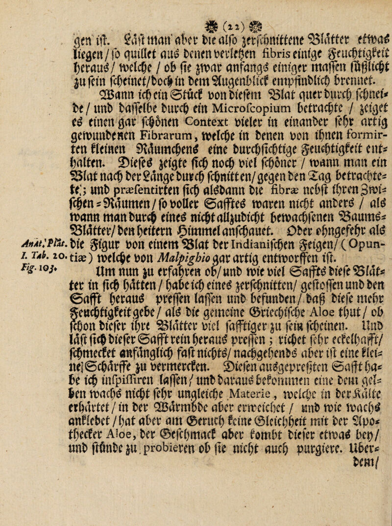 AnMltht L Tdb. 10 ftg. ioi* _ (n) gen' ifi. £äft man' aber bie alfo jerfcbaittene glatter efft>a^ liegen/fo guiöet aus benen perlten fibris einige g-euchtigfeit heraus / welche / ob fie jwar anfangs einiger maffen füglicht ju fein fcheiuet/boc&in bem Slugenbltcf empftnbltch brennet 2Bamt ich ein ©tief ponbiefetit 25lat quer burch fchnei* be / unb baffelbe burch ein Microfcopium betrachte / jct'get es einen gar fernen context pitler in einanber fehr artig gewunbenen Fibrarum, n>elc§e in benen pon ihnen formir- ten f leinen Bäumchens eine burchfichtige geuehtigfeit ent* halten. 2)tefeS jeigte (ich noch Piel fchoner / wann man ein 55lat nach ber gange buecb fchnttt en/ gegen ben 'Sag betrachte* Ul; unb priEfentirten ftch aisbann bie fibr* nebft ihren 3wi* fchen*3ia unten / fo polier ©affteS waren nicht anberS / ale? wannmanburch eines nicht aUjubicht bewachfenen 33aums* Blätter/ ben heitern Fimmel anfehauet Ober ehngefehr als bie gigttt pon einem 93lat ber indianifchen feigen/ (Opun- 1 tix) welche Pon Malpighio gar artig entworfen ift Um nun $u erfahren ob/ unb wie Piel ©afftS l>iefe^fafs= ter in (ich hätten / habe ich eines jerfchnitten/ geftoffen unb ben ©afft herauf preffen laffen unb befunben/ bag btefe mehr Seuchttgfeitgebe/ als bie gemeine ©rteebifege Aloe tgut / ob jehon tiefer ihre Blätter Piel fafftt'ger ju fein fegernen. Unb läft (ich tiefer ©afft rein herauf preffen; rtchet fehr ecfelhapft/ fehmeefet anfänglich faft nichts/ nachgegenbS aber ift eine fiel* «e| ©chärffe ju permerefen. ©iefen auSgepregten ©afft ha* be ich infpifliren laffen / unb barauS bekommen eine bem gel* ben wachs nicht fehr ungleiche .Materie, welche in ber Kalte erhärtet / in ber SSSärmbbe aber erweichet / unb wie wachs anftebet/hat aber am ©mich feine ©Icichheit mit ber Sipo* theefer Aloe, ber ©efehmaef aber fombt biefer etwas bep/ unb frönte ju: probieren ob fie nicht auch purgiere. Uber* bem/