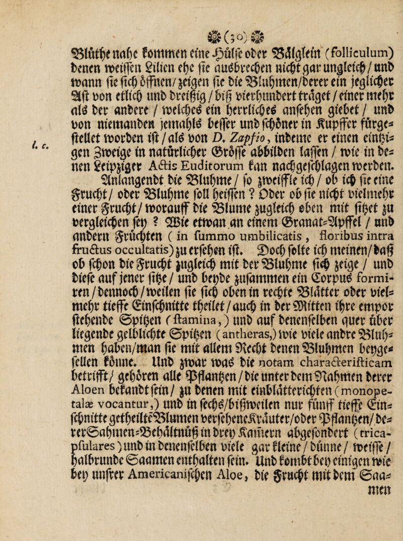 SStötljeitdje fommen eine Jpütfe ober 1534(gletrt (Mieulum) benen weiffen gilicn efjc ftc aug&recbett nicht gar ungleich / unb wann fte ftct) Offnen/jeigen (ic bie Slubmen/berer ein jeglicher Stil bon etttcb unb breißig / big biertmnbert traget / einer mef)t at$ ber «nberc / welches ein herrliches anfeben giebet / unb bon niemanben jemals beffer unb ferner in Äupffer förge* ftellet woeben ift / als non D, Zapf io, inbemc er einen einßi* gen 3wet'ge in natürlicher ®rbffe abbilben laffen / wie in be* nen Seipjiger Aftis Euditorum fan nacbgefcblagenwerben. Slnlangenbt bie SSlubme / fo jweiffie ich / ob ich fte eine gruebt/ ober SSIufmte fotlOeiffen ? Ober ebnenicht bielmebr einer $rucbt/ worauff bie 23lume jugleicb oben mit ftpet ju begleichen Jet) ? «Sie etwan.an einem ®ranat^pffel / unb Uttbem fruchten (in furamo umbilicatis , floribus intra fruftus occultatis) ju erfeben t'tf. üDocb fette teb meinen/baff ob febon bie Zeucht jugleich mit ber 33tut;me ft<h jeige / unb tiefe auf jener ftfje/ unb bepbe jufammen ein SorpuS formi- ren/bennoeb/wetien fte ftcb oben in rechte glatter ober biel= mehr tieffe (Sinfchnitte tbeitet/aueb in berSOtitten ihre empor ftebenbe ©pipen (ftamina,) unb auf benenfelben quer über it'egenbe getblicbte ©pipen (antheras,) wie biete anbre 3$luf)ä men baben/man fte mit altem SKecbt benen 93lubmen bepge* feiten foune. Unb jwar WaS bie notam charafcerifticam betrifft/ geboren alte ^ftanpen / bie unter bem^tabmen berer Aloen betäubt fein/ $u benen mit einbldttericbfen (monope- talse vocantur,) unb in fecbS/btfjwcilcn nur funff tieffe €in* febnttte getbeilte^lumen berfebenelrauter/ober epfianben/ be* rer©abmen5föeb(t(tnug in brep Hamern abgefonbert (trica- pfulares) unb in benenfelben biete gar f leine / bünne / weiffe / batbrunbe ©aamen enthalten fein. Unb tombtbep einigen wie bep unfrer Americani|c(jen Aloe, bie §r«cht mit bem ©aa*