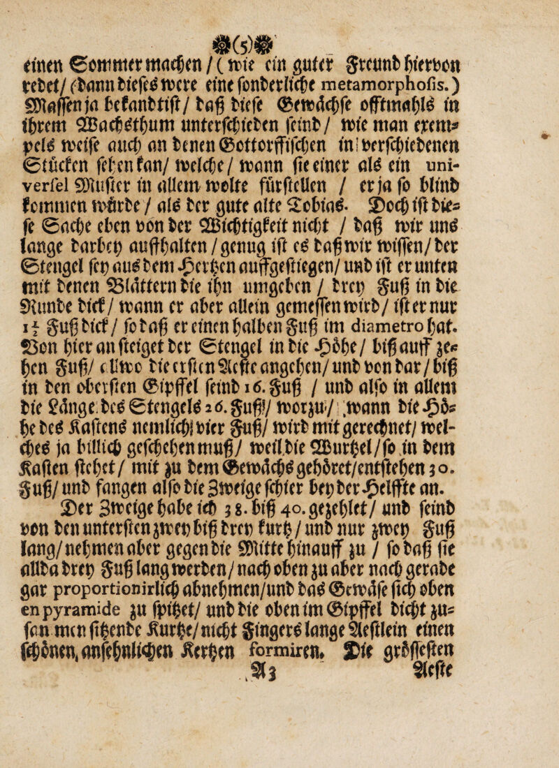 $(5)$' einen ©ottmter machen / (Me ein gniet greunb fjterbon tretet/ fl*nnn ttefeö tncve eine fontetiic^e metamorphofis.) SDtaffenja bctanbtift/ tafi tiefe ©ewdcbfe m ihrem 2Bacb£tbum unterfcficten feint / Me man erent* pcB weife aitcf) an tenen ©ottorffifeben in! oerfcbietenen ©tuefen fefenfan/ Miete / wann fie einer al£ ein uni- verfel SDlttfier in allem weite fürftellen / er ja fo timt f ommen märte / nie tcr gute nlte 2ebta6- 2)ocb tft tie= fe ©acbe eben non ber SEBicbftgfeit nicht / ta$ mir unö lange tarbep aufffalten/genug ift es tafjwir wtffen/ter ©tengel fep nultem Serben aujfgefttegen/ unt tft er unten mit tenen SBldttern tie tfm umgeben / tret) gufj in bie SRimbe tief / mann er aber allein gemeffenwirt/ tft er nur if gufj tief / fetafj er einen falben Stift im diametro bat. $3en bteranfteigetter ©tengel in tte J?&5e/ btßauff je* fen gufj/ cllwc tte erfundene angeben/ unt non tat/biß in ten oberften ©ipffel feint 16. guf / unt alfo in allem tie fange tee ©tengete 2 6. guf!/ wot ju-/1 ;wann tie Jpfc fe te$ &aften£ nein lieb! Pier guf/wirb mit gerechnet/ wel¬ ches ja billieb gefebefenmufj/ wetlbieüBurhel/foin tem Mafien flehet/ mit $u tem ©ewacbS geböret/entftefen 30. guß/unt fangen alfo tie BMtge febier bepber^cllftean. 2)er Steige habe ich 5 8. btf 40. geheftet/ unt feint non ten unterften $wep bifj treu furf / unt nur jwet) gufj lang/nehmen aber gegen tie SDlttte btnauif in J fotafj jte allta brtt) gufj lang werten / nach oben ju aber naeb gerate gar proportionirltcb abnefmen/unb ta$ ©ewäfe jtcb oben en pyramide $u fpifet/ unt tie Oben im ©tpjfel bt'cf)t ju« fan men freute Jlur£e/ nicht ginget lange fleftlein einen ffbtnen(anfeb«W4)t« Äerben formimu 2>ie grbffeften