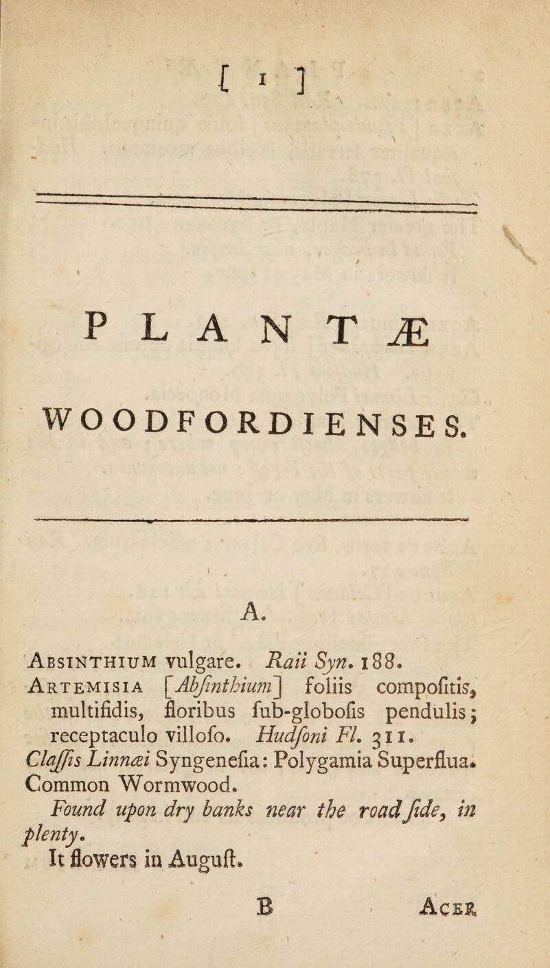 PLAN T JE WOODFORDIENSES. A. Absinthium vulgare. Rail Syn. 188. Artemisia [Abfmthium] foliis compofitis* multifidis, floribus fub-globofis pendulis; receptaculo villofo. Hudfoni FI. 311. Claflis Linneei Syngenefia: Polygamia Superflua. Common Wormwood. Found upon dry banks near the road fide, in plenty. It flowers in Augufh B 1 Acer