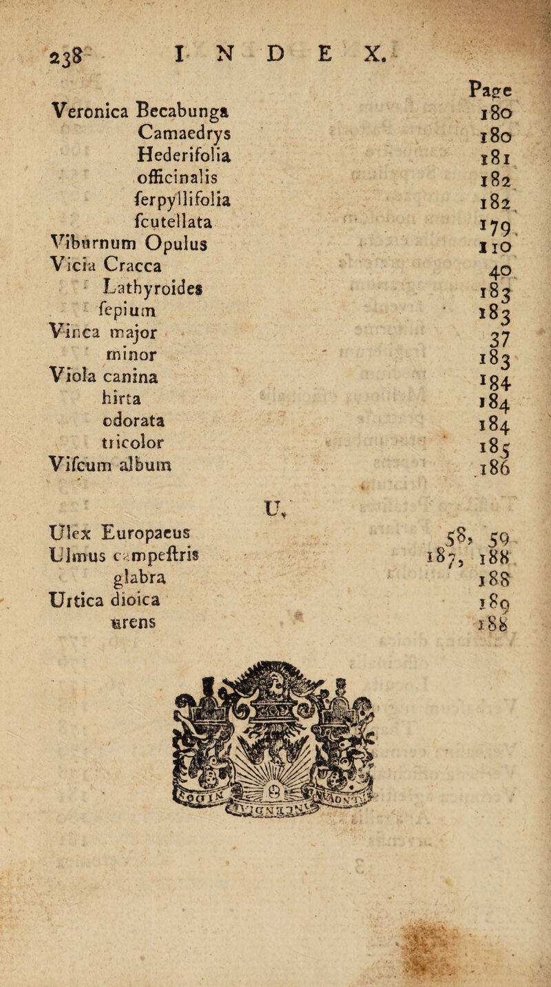INDEX. 23$ Veronica Becabunga Camaedrys Hederifolia officinalis ferpyllifolia feu tel lata Viburnum Opulus Vicia Cracca Lathyroides fepium Vinca major minor Viola canina hirta cdorata tricolor Vifcum album Page 180 180 181 182 182 IV Ulex Europacus 5S> 59 Ulmrus campeftris 187, 188 glabra 18S Urtica dioica 189 urens 288
