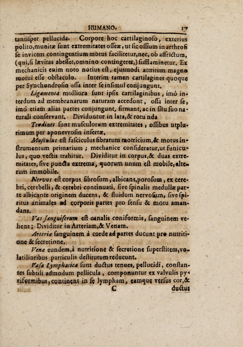 * tamifper pellucida* Corpore hoc cartilaginofo, exterius polito,munitac funt cxtremitatcs ofleae, utflcoflium inarthrofi fe inviccm contingentium tnotus facilitctur,ncc, obaflfridura, (qtu,fi latvitas abcffet,omnino contingerer,)fufHarniaetiir. Ex mechanicis caim noto notius cft, ejusraodi attritum magn® motui elfe obftaculo. Interim tarnen cartiJagines quoque per Syachondrofin ofia inter feinfimul conjungunt. Ligamenta molliora funt ipfis cartilaginibus , imb in* terdum ad membranarutn naturam accedunt, ofla inter fe* imb etiam alias partes conjungunt, Ermant,actn (Tiufuona* turali confer va nt. Dividuntur in lata,& rotu nda Tendines funt mufeulorum extremitates, oflibus utplui- rimum per aponevrofin infertar* Mufculus eö falciculusfibraruni motricium,& motusin* firumentum primarium ; mechanice confideratur.ut funieü- lus, quovedis trahitur. Dividitur in corpus,Sc duas extre- taita-tes* five punda extrema, quorum unum efi mobile,«Ite® rum immobile* ? L Nervus cd corpus fibrofum, albicans,porofuta, ex cere- bri, cerebelli, & cercbri continuati, live fpinalis medullae par- te albicante originem duccns, & flui-dum nervofijm, fivefpi- ritus animales ad corporis partes pro fenfu & motu aman« dans. Fas Janguiferutn eft canalis coniformis, fanguinem vc- tiens; Dividitur in Arteriam,& Venam. drterU fanguinem a corac ad partes ducunt pro umritt» onc dcfecretionc. Vena eundem^a nutritione & fecretione fupcrftitem,v0« latilioribüs particulis deftitutumrcducunt. Fa/a Lymphatica funt dudus tenaes, pellucidi, conftan- tes fubtili admodum pellicula, componuntur ex valvulis py< fiformibws jcominea^ in fe lympham, camque verfus cor,& C düdiis . -I