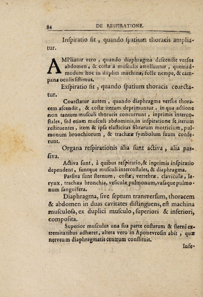 \ * —- Infpiratio fit , quando fpatium thoracis amplia* tur. AMPliatur vero , quando diaphragma defcendk vcrfas abdomen , & cdilte a mufculis attoliuntur , quemad* mcdum Hoc in dupiici machina, foiie nempe, &eam* pana ocuiis fiftimus. Exfpiratio fit , quando fpatium thoracis cöar&a- tur. Coar&atur autcm , quando diaphragma verfus thora* ccm afcendit, Sc coftae itcrum deprimuntur , in qua adions non tantummufculi thoracis concurrunt , inprimis interco- ftales, fed ctiam mufceli abdominisdn inipiratione fc itcrum teftituentes, item & ipfa elafticitas fibrarum motricium,pul¬ monum bronchiorum , 6c trachjese Tymbolum fuum confe« tunt, Organa relpirationis alia funt adiva * afia pas* liva. A^iva funt, a quibus refpiratio,& inprimis infpiratio dependcnt* funtquc mufculiintercoflaies, & diaphragtna. Pasfiva funt fiemum,-colbe, vertebrae, cJaviculae, la- rynx, trachaea bronchia, veficuiaspulmonum^vafaqucpulmo¬ num fangui&ra. Diaphragma, five feptum transverflim, thoracem Sc abdomen in duas cavitates diftinguens, eft machina inufculofa, ex dupiici mufculo, fuperiori & inferiori, compofita. Superior mufculus una fua partc coftarum Sc ftemiex- tremitatibus adhaeret, altera vero in Äponevrofin abit , quae n$rveum diaphragmatiscsnstpra conßkuit.