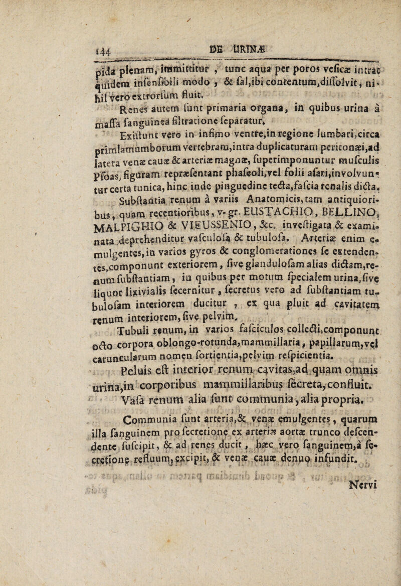 m ürim m .. . . p|<3a plto&ms immittimr , tune aqua per poros veficae imrac «iiiäem infenßbili modo , & fal,ibi coaremum^iflbivit, ni« hil vcro cxtrörium fiuir* Renes autem fünt primaria organa, in quibus urina ä maffa fangumü filtratione feparatur* Extüunt vero in mftno vencre»inregione ]umban,circa primlamomborum vertebram,intra duplicaturani pemoöad,ad iatera venx cauae & arteriae magnae, fuperimponuntur mufcuüs pfoas.figüram reprasfentaat phafeolbvel foiii afari,mvoIvun* turcertatunica,hinc inde piaguedmcte&a/afdarenalisdi&a. Subftantia renutn a variis Änatomids,tatn anriquiod- bus, quam recentioribus, v-gr. EüSTACjHIO, BELLiNO, MALPIGHIO de VIEUSSENIO, &c. invdligata & cpmi* nata .deprehenditur vafculofo de tubulofa. Arteriae emm e« mulgences»in varlos gyros de conglomerationes fc estenden* tcs>Componunt exteriorem, fiveglandulofam .alias didam,re- nutii fubftantiam , in quibus per motutn fpecialem urina,five iiquoc lixivialis fecernitur , fecretus vero ad fubftantiam tu- bulofam ißteriorem dudtur , ex qua pluit ad cavitatem renum intcriorem»üve pelvini,, Tubuli renum, in varios fafdeulos coIle<fU*componunt o&o Corpora oblongo-rotunda^mammillaria, papii|arum,vd caruncularum nomen fortientia,pdvirn refpirientu. Peluis eft interior rermrn c^vitas.ad quam ornnis lirina?in corporibu8 mammilianbus ficreta,confluit. Vafa renum alia funt cornmunia ? alia propria. ^ - ■ * • \.N . > ; t ' - ' l ■ \ * * .ff?; T\ /* CoRimunia funt artena,& venae emufgentes* quarum lila fanguinem pro fecretione ex artend aortae trunco defeen- dente fufeipit, & ad renjes ducit, h&c vero fanguincni>a ft- cretione refluum?£xdpit,&: veqae capae denup infundit. m Nervi