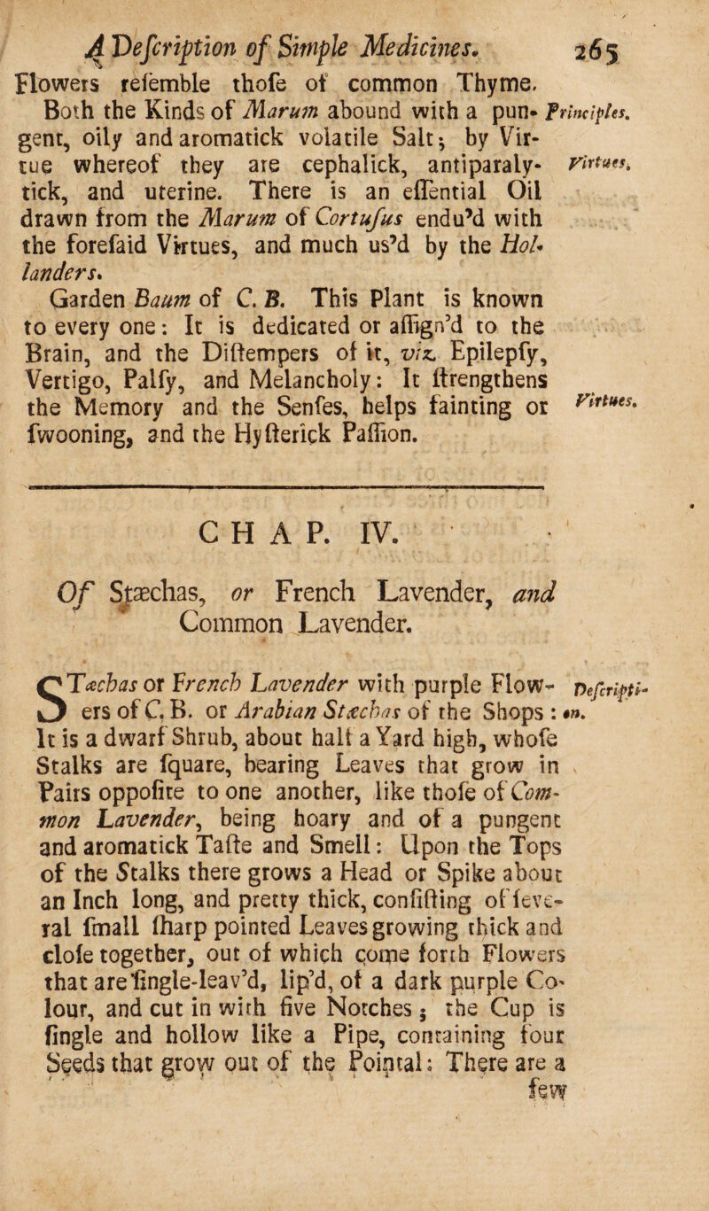 Flowers referable thofe of common Thyme, Both the Kinds of Marum abound with a pun* Principles. gent, oily andaromatick volatile Salt ^ by Vir¬ tue whereof they are cephalick, antiparaly- virtues. tick, and uterine. There is an effential Oil drawn from the Marum of Cortufus endu’d with the forefaid Virtues, and much us’d by the Hol¬ landers* Garden Baum of C. B. This Plant is known to every one: It is dedicated or affign’d to the Brain, and the Diftempers of it, viz. Epilepfy, Vertigo, Palfy, and Melancholy: It ftrengthens the Memory and the Senfes, helps fainting or ^rt(*es fwooning, and the Hyfterick Paffion. CHAP. IV. Of Stsechas, or French Lavender, and Common Lavender, STacbas or French Lavender with purple Flow- Vefiripti ers of C. B. or Arabian Stachas of the Shops : It is a dwarf Shrub, about half a Yard high, whofe Stalks are fquare, bearing Leaves that grow in * Pairs oppofite to one another, like thofe of Com¬ mon Lavender, being hoary and of a pungent and aromatick Tafte and Smell: Upon the Tops of the Stalks there grows a Head or Spike about an Inch long, and pretty thick, confiding of feve- yal fmall (harp pointed Leaves growing thick and dole together, out of which come forth Flowers that arefingle-leav’d, lip’d, ot a dark purple Co* lour, and cut in with five Notches 5 the Cup is fingle and hollow like a Pipe, containing four Seeds that grow out of the Poimah There are a
