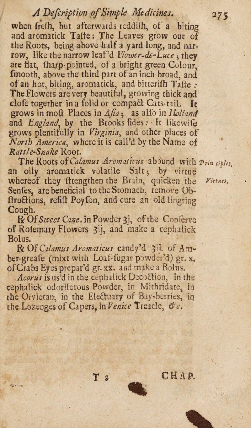 when frefh, but afterwards reddiih, of a biting and aromatick Tafte: The Leaves grow out of the Roots, being above half a yard long, and nar¬ row, like the narrow leaf’d Elovoer-de^Luce $ they are hat, (harp-pointed, of a bright green Colour, fmooth, above the third part of an inch broad, and of an hot, biting, aromatick, and bitteriffi Tafte .* The Flowers are very beautiful, growing thick and dole together in a folid or cornpad Cats-tail It grows in moft Places in AJia *, as alfo in Holland and England\ by the Brooks fides.* It likewife grows plentifully in Virginia, and other places of North America, where it is calPd by the Name of Rattle-Snake Root. The Roots of Calamus Arcmaticus abound with Vrin ciphs, an oily aromatick volatile Sait*, by-virtue whereof they (Itengthen the Brain, quicken the Virtues, Senfes, are beneficial to the Stomach, remove Ob- ftru&ions, refill Poyfon, and cure an old lingring Cough. ft Of Sweet Cane, in Powder £j, of the Conferve of Rofemary Flowers $ij, and make a cephalick Bolus. ft Of Calamus Aromaticus candyM Jij. of Am- ber-greafe (mixt with Loaflugar powder’d) gr. x. of Crabs Eyes prepar’d gr. xx. and make a Bolus. Acorus is us’d in the cephalick Deco Elion, in the cephalick odoriferous Powder, in Mithridate, in the Orvietan, in the Eleftuary of Bay-berries, in the Lozenges of Capers, in Venice Treacle, &ct T a CHAP. %