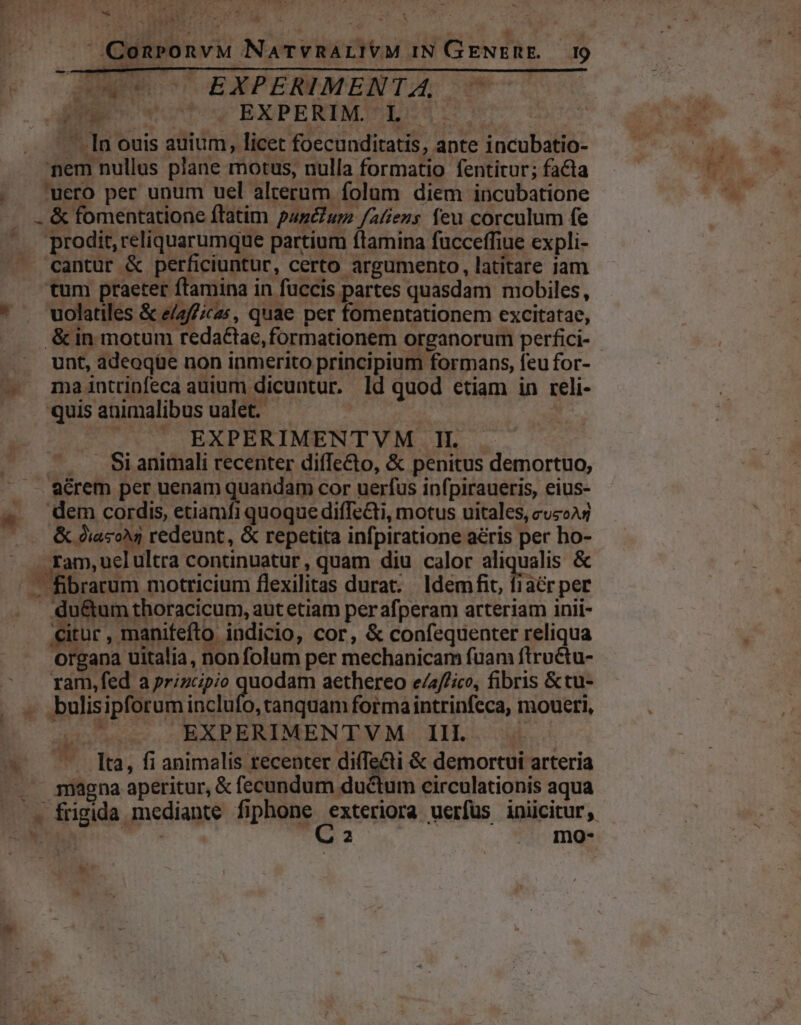 ias i 5 ww oco EXPERIMENT A; Pe ^e EXPERIM. L : —— [n ouis auium, licet foecunditatis, apte incubatio- mem nullus plane motus, nulla formatio fentitur; facta . uero per unum uel alterum folam diem incubatione . &amp; fomentatione ftatim panum /afe»s feu corculum fe prodit, reliquarumque partium ftamina fucceffiue expli- cantur &amp; perficiuntur, certo argumento, latitare iam tum praeter flamina in fuccis partes quasdam mobiles, * uolatles &amp; e/2/£icas, quae per fomentationem excitatae, .&amp; in motum redactae, formationem organorum perfici- unt, adeoqüe non inmerito principium formans, feu for- — maintrinfeca auium dicuntur. ld quod etiam in reli- — . quis animalibus ualet. : EXPERIMENTVM II. X ASianimali recenter diffecto, &amp; penitus demortuo, acrem per uenam quandam cor uerfus infpiraueris, eius- » em cordis, etiamfi quoque diffe&amp;ti, motus uitales, cvzoAs | — &amp;J9ascoN redeunt, &amp; repetita infpiratione aéris per ho- (QenronvM NaTvRALIVM IN GENERE. 19 piis .EXPERIMENTVM III. | ^ —. Ita, fi animalis recenter diffe&amp;ti &amp; demortui arteria |. magna aperitur, &amp; fecundum ductum eirculationis aqua . frigida mediante fiphone (ERU uerfus inicitur, ^ M à 2 mo-