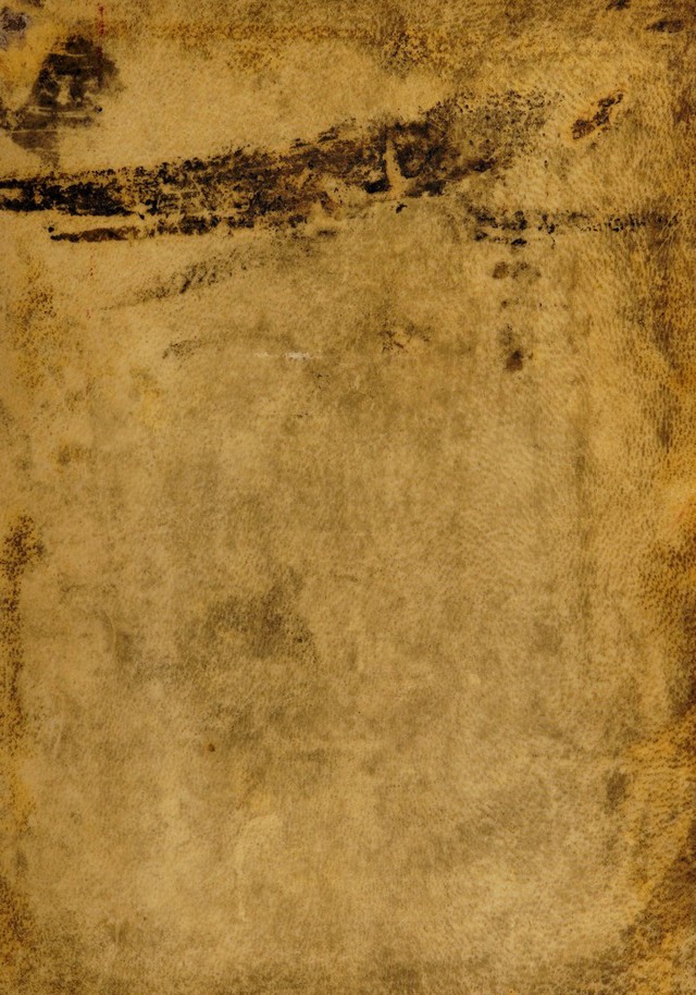 digitised image 1