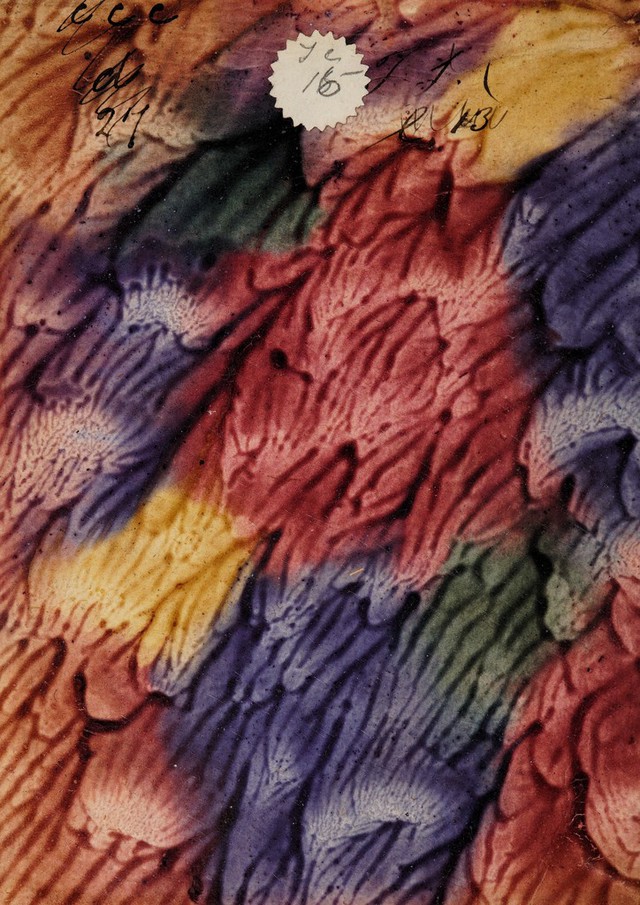 digitised image 2
