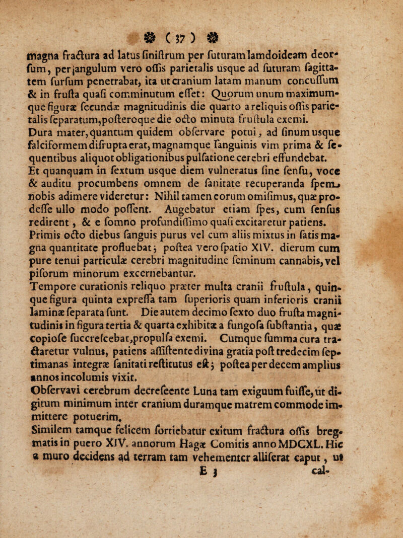 # C 37 ) ® magna fra&ura ad latus finiftrum per futuram lamdoideam deor- fum, perjangulum vero offis parietalis usque ad futuram fagitta- tem furfum penetrabat, ita ut cranium latam manum concuffum & in frufta quafi comminutum effiet: Quorum unum maximum- que figurae fecundae magnitudinis die quarto a reliquis offis parie¬ talis feparatum,poftereque die odio minuta fruftula exemi. Dura mater,quantum quidem obfervare potui, ad finumusque falciformemdifruptaerat, tnagnamque fanguinis vim prima & fe- quentibus aliquot obligationibus pulfatione cerebri effundebat. Et quanquam in fextum usque diem vulneratus fine ferffu, voce & auditu procumbens omnem de fanitate recuperanda fpemj nobis adimere videretur: Nihil tamen eorum omifimus,quaepro- deffie ullo modo poffent. Augebatur etiam fpes, cum fenfus redirent, & e fomno profundiffimo quafi excitaretur patiens. Primis odio diebus fanguis purus vel cum aliis mixtus in fatis ma¬ gna quantitate profluebat, poftea vero fpatio XIV. dierum cum pure tenui particulae cerebri magnitudine feminum cannabis, vel piforum minorum excernebantur. Tempore curationis reliquo praeter multa cranii fruftula, quin¬ que figura quinta expreffa tam fuperioris quam inferioris cranii laminae feparata funt. Die autem decimo fexto duo frufta magni¬ tudinis in figura tertia & quarra exhibitae a fungofa fubftantia, quae copiofe fuccrefcebat,propulfa exemi. Cumque fumma cura tra- ftaretur vulnus, patiens affiftente divina gratia poft tredecim fep- timanas integrae fanitatireftitutus eftj poftea per decem amplius annos incolumis vixit, Obfervavi cerebrum decrefeente Luna tam exiguum fuiffe,ut di¬ gitum minimum inter cranium duramque matrem commode im¬ mittere potuerim. Similem tamque felicem forriebatur exitum fradiura offis breg¬ matis in puero XIV. annorum Hagae Comitis anno MDCXL, Hic a muro decidens ad terram tam vehementer alliferat caput, ut £ j cal-