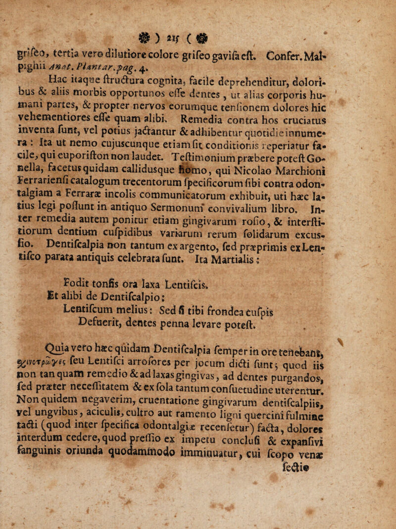 grifeo, tertia ver© dilutiore colore grifeo gavifa eft. Confer. Mal« pighu AnPlmtar,pag, 4. Hac itaque ftrucftura cognita? facile deprehenditur, dolori* ous & aliis morbis opportunos ede dentes, ut alias corporis hu* mani partes, & propter nervos eorumque tenfionem dolores hic vehementiores efie quam alibi, Remedia contra hos cruciatus inventa funt, vel potius jaftantur & adhibentur quotidie innume* ra : Ita ut nemo cujuscunque etiam fit conditionis reperiatur fa* cile^ qui euporifton non laudet. Teftimonium praebere poteft Go* sella, facetus quidam callidusque homo, qui Nicolao Marchioni ierrarienfi catalogum trecentorum fpecificorum fibi contra odon* talgiam a Ferrarae incolis communicatorum exhibuit, uti haec la« tius legi poflunt in antiquo Sermonum* convivalium libro. In¬ ter remedia autem ponitur etiam gingivarum rofio, & interfti- tiorum dentium cufpidibus variarum rerum folidarum excus- fio. Dentifcalpia non tantum ex argento, fed praeprimis exLen« rilco parata antiquis celebrata funt» Ita Martialis; Fodit tonfis ora laxa Lentifci$» Et alibi de Dentifcalpiot Lentifcum melius: Sed 6 tibi frondea Cufpfe Defuerit, demes penna levare poteft, Quia vero hatc quidam Dentifcalpia femperin ore teftebam, feu Lentifci arrofores per jocum didi funt$ quod iis non tanquam remedio & ad laxas gingivas, ad dentes purgandos*, fed praeter neceffitatem dtexfbla tantum confuetudine uterentur. Non quidem negaverim, cruentatione gingivarum dentifcalpiis* vel ungvibus, aciculis^ cultro aut ramento ligni quercini fulmine taSi (quod inter fpecifica odontalgie recordetur) facfta, dolores interdum cedere, quod preffio ex impetu conclufi & expanfivi fanguinis oriunda quodammodo immitiuatur, cui fcopo venae